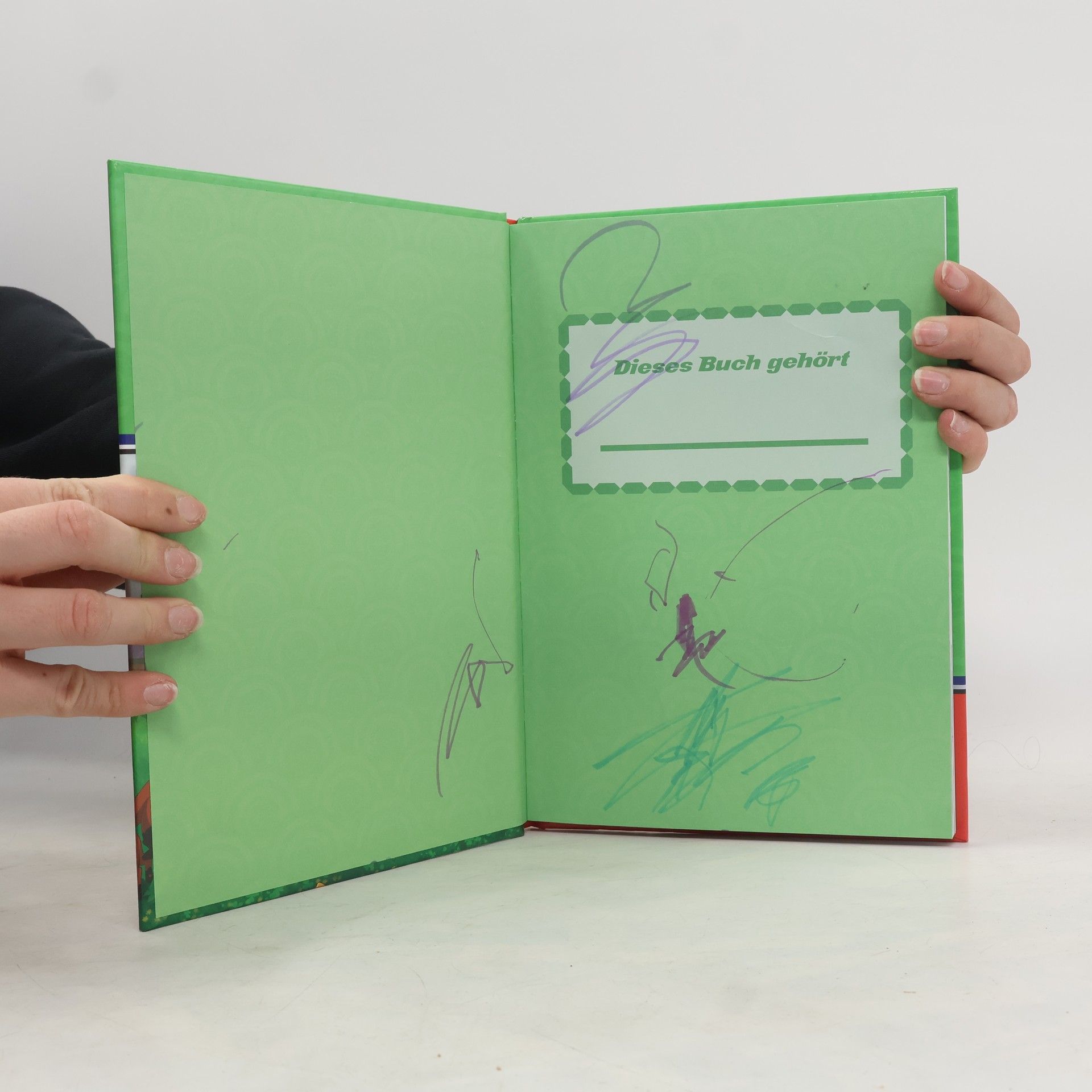 Constanze Steindamm Pokémon - das spannende Abenteuerbuch