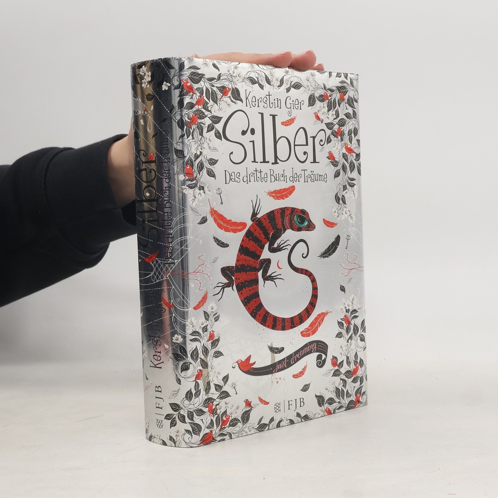 Kerstin Gier Silber. Das dritte Buch der Träume