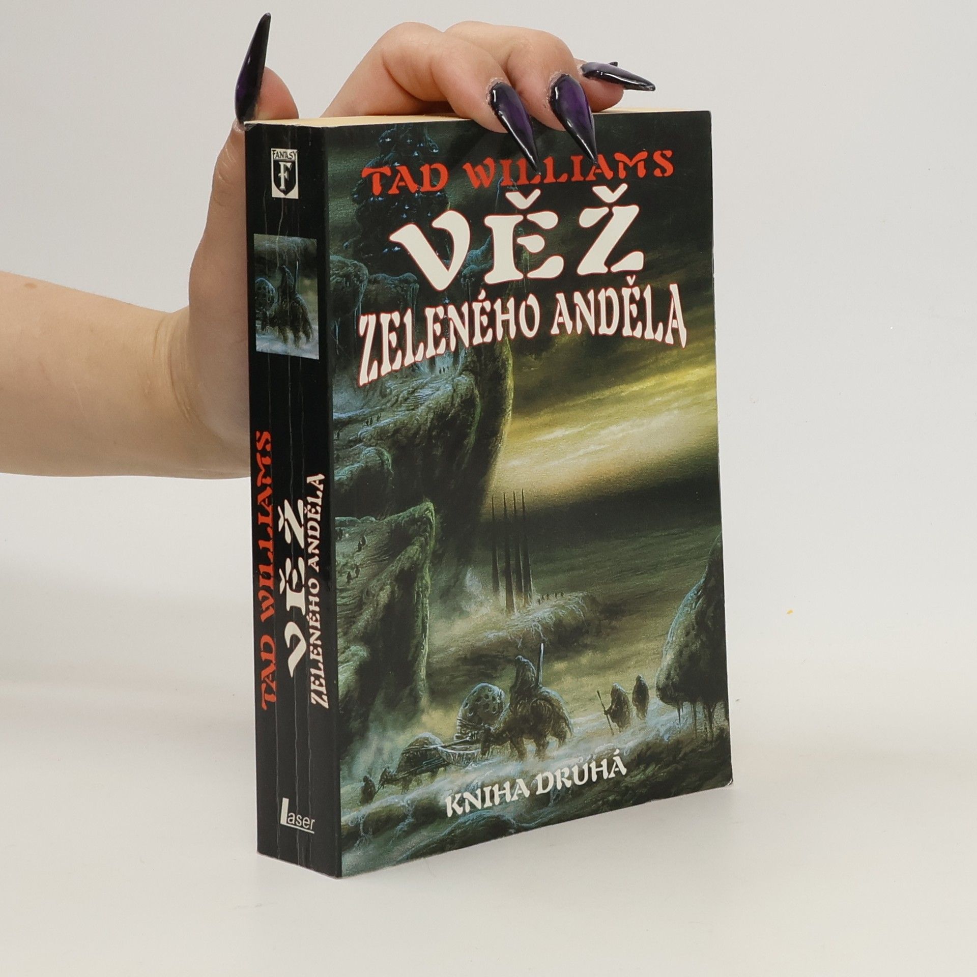 Věž Zeleného anděla. Kniha druhá