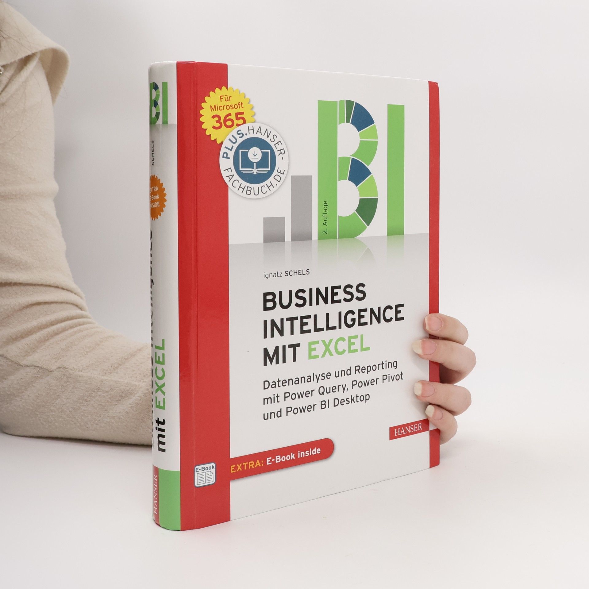 Business Intelligence mit Excel