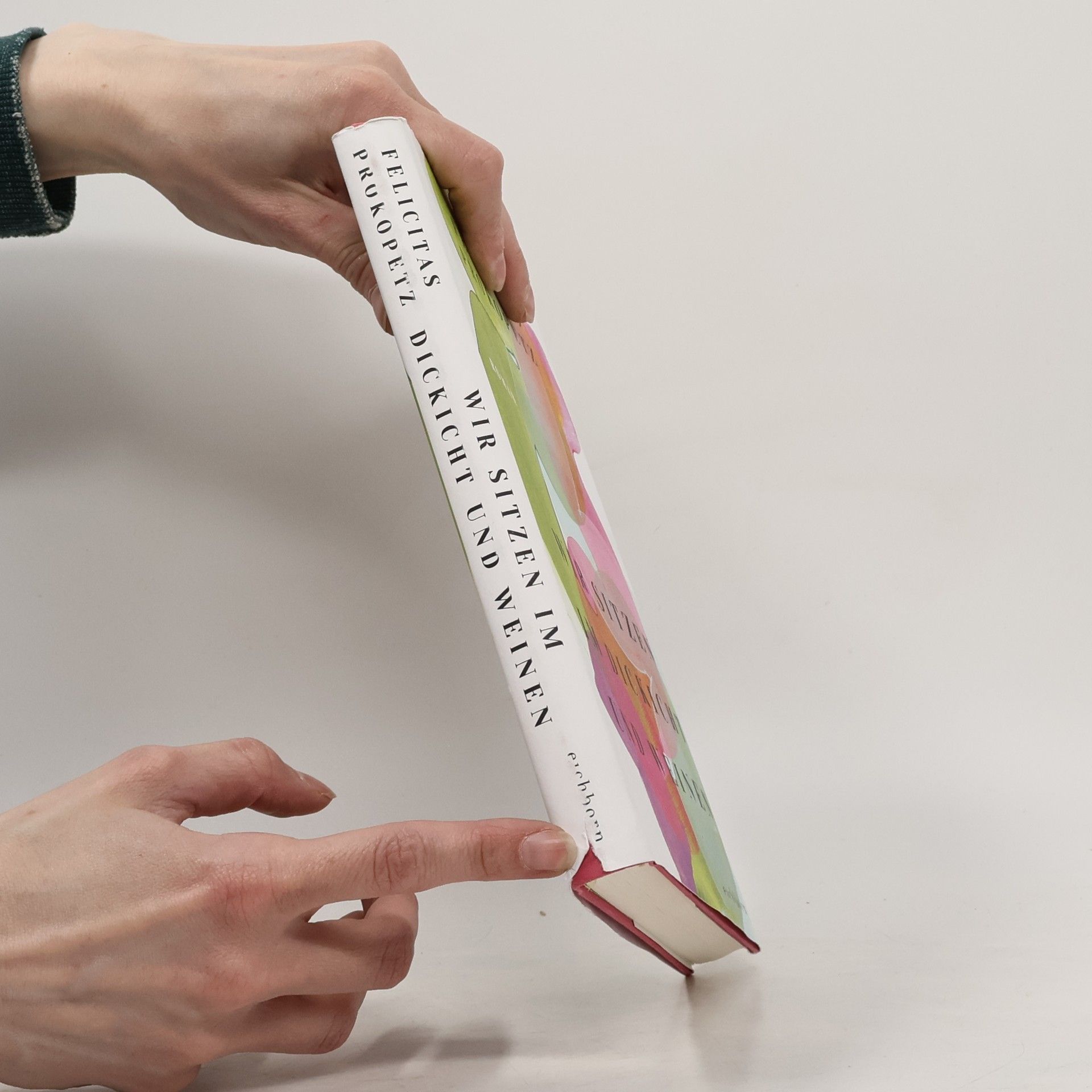 Felicitas Prokopetz Wir sitzen im Dickicht und weinen