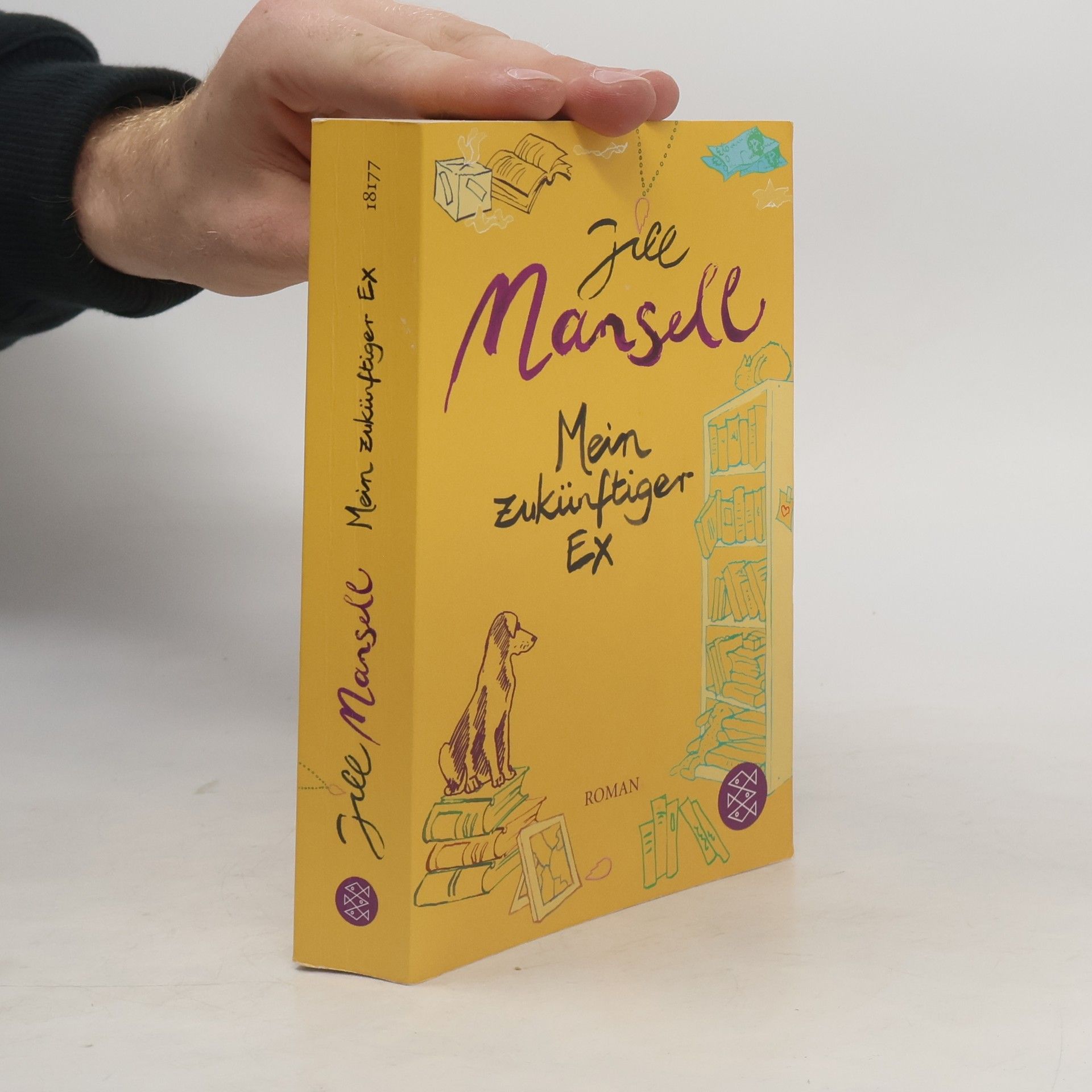 Jill Mansell Mein zukünftiger Ex