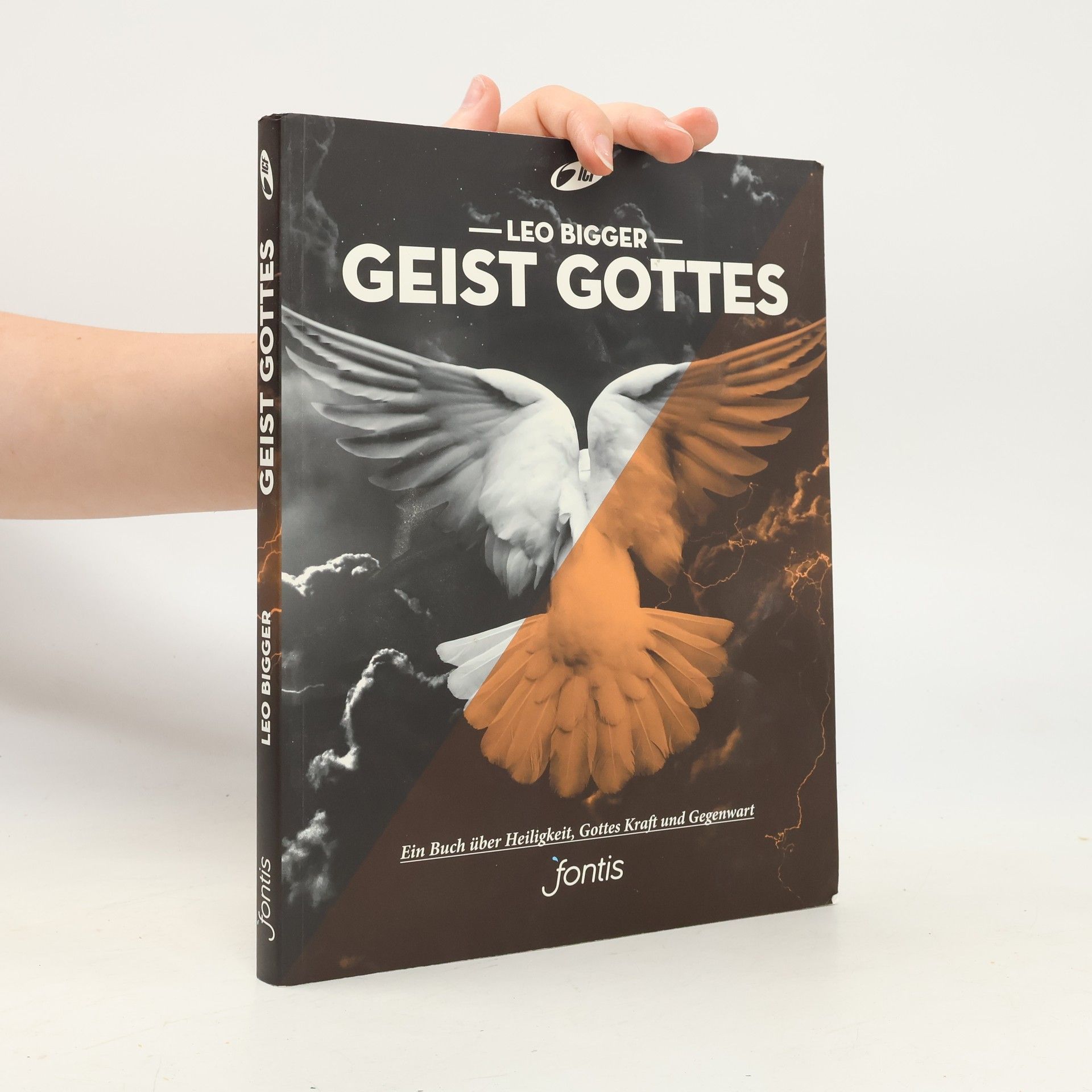 Leo Bigger Geist Gottes. Ein Buch über Heiligkeit, Kraft und Gottes Gegenwart