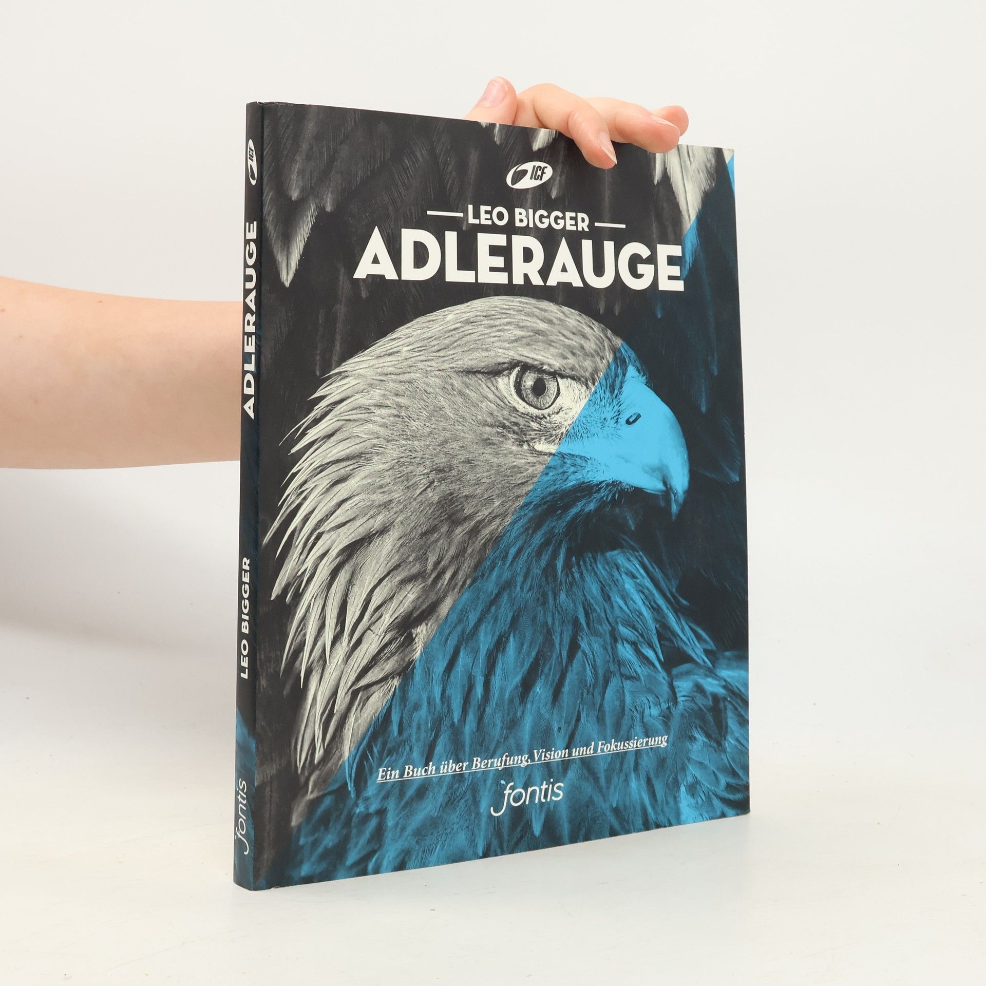 Leo Bigger Adlerauge. Ein Buch über Berufung, Vision und Fokussierung