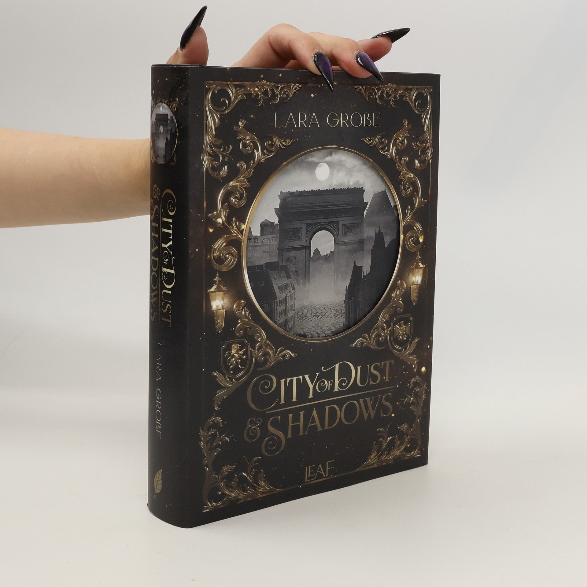Lara Große City of Dust and Shadows