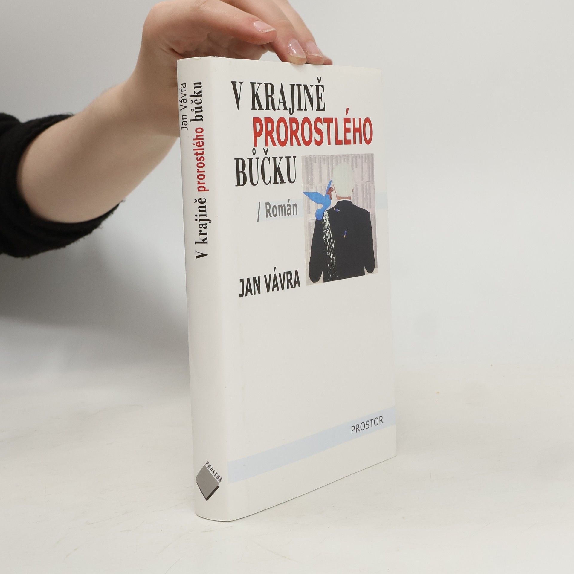Jan Vávra V krajině prorostlého bůčku. Zpověď prezidentova poradce