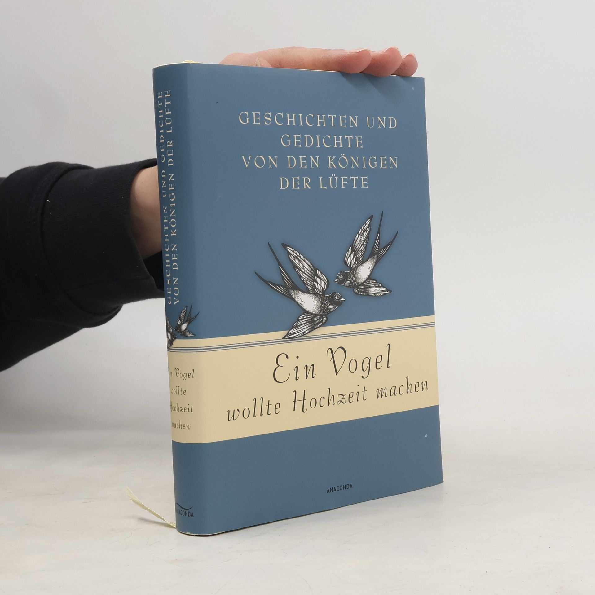 Jan Strümpel Ein Vogel wollte Hochzeit machen