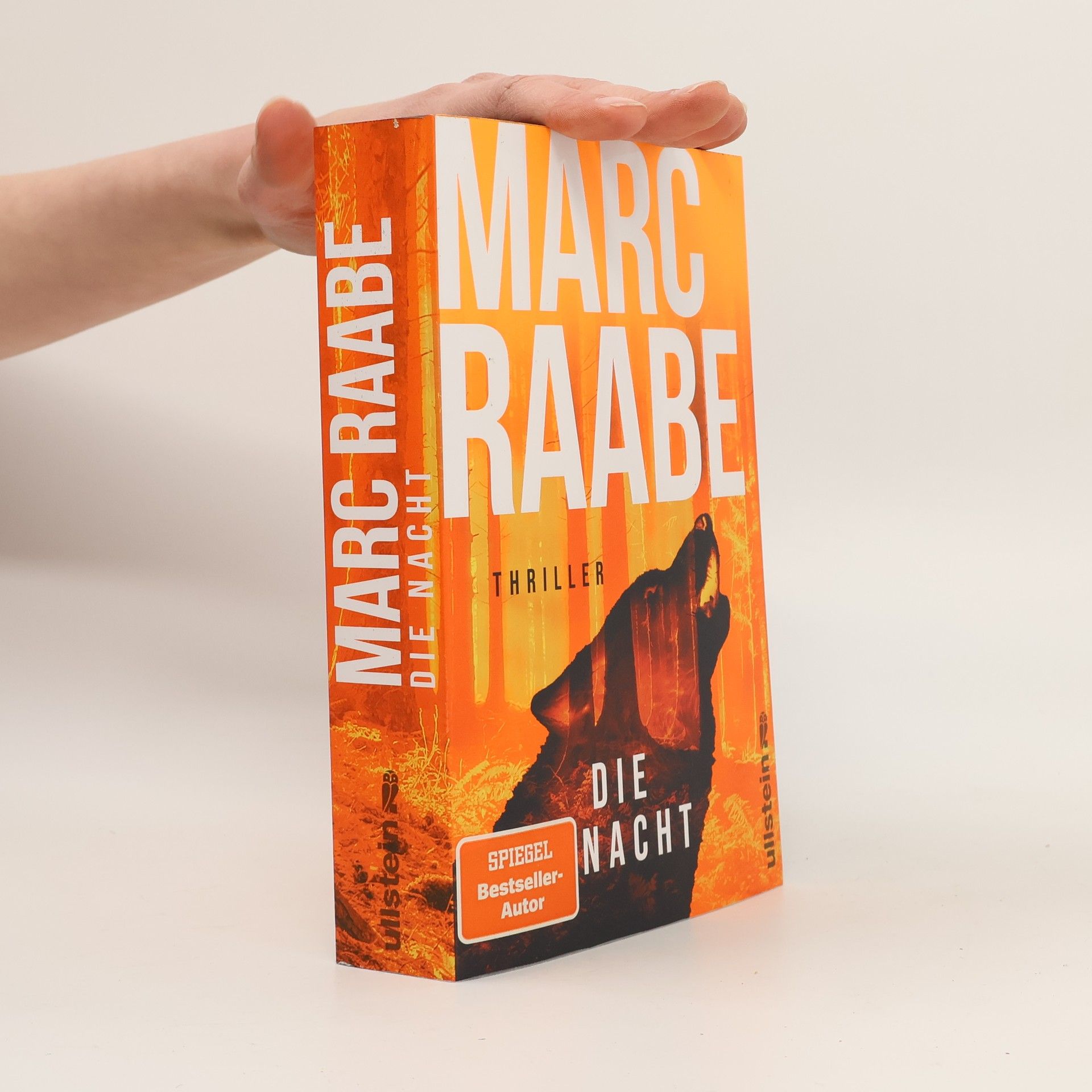 Marc Raabe Die Nacht