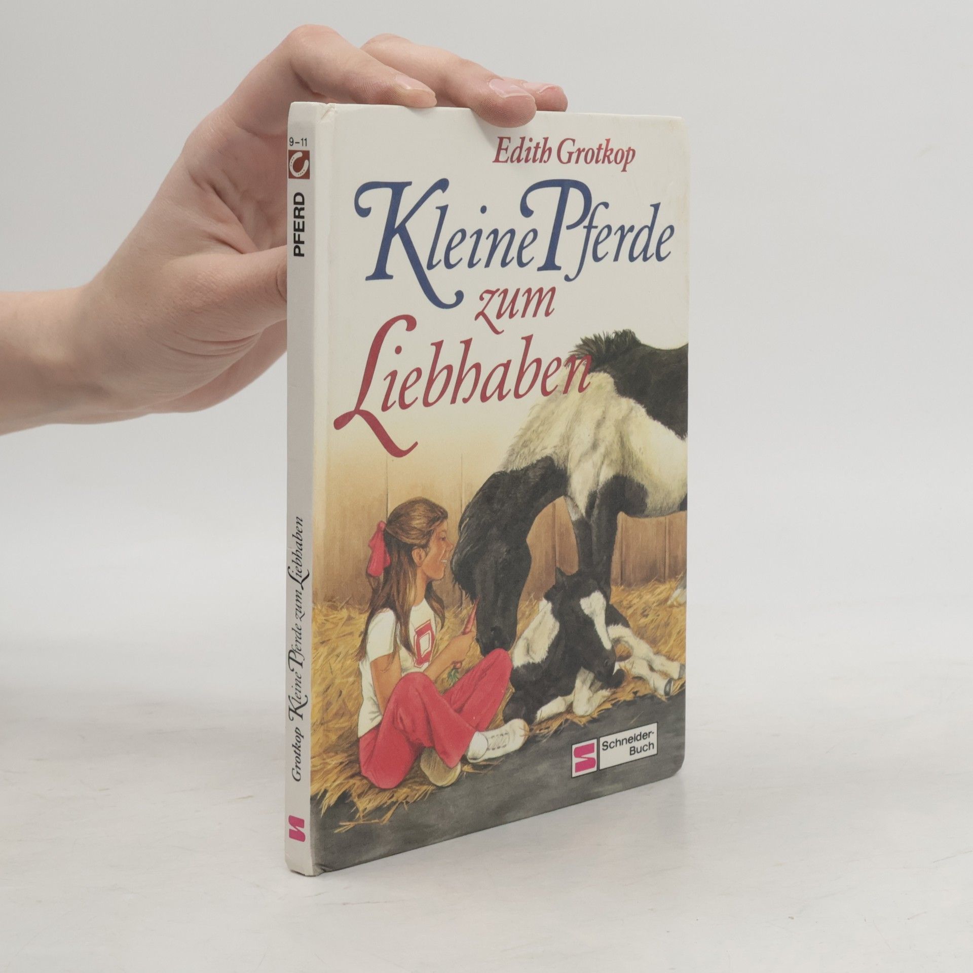 Kleine Pferde zum Liebhaben