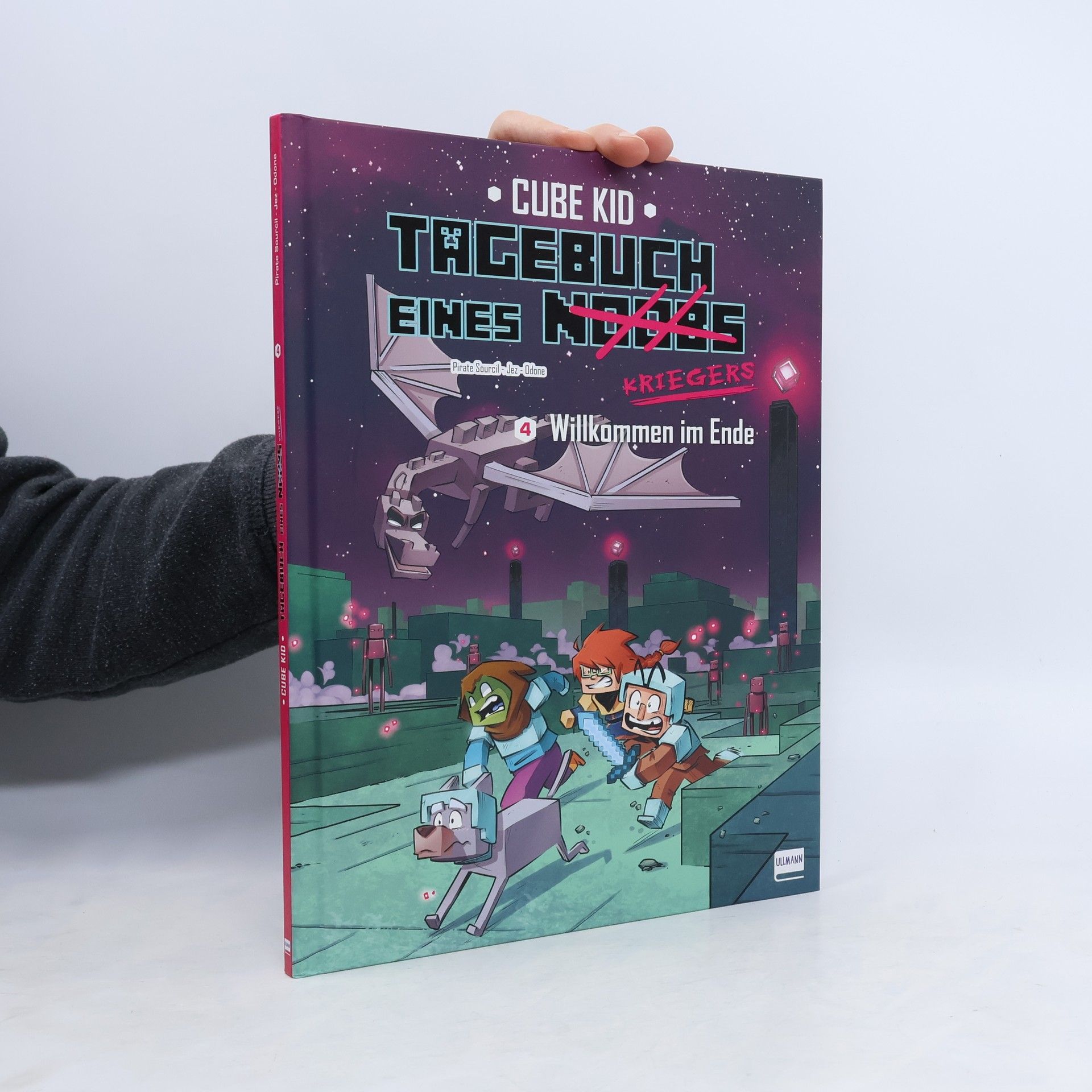 Pirate Sourcil Tagebuch eines Noobs Kriegers – Der Comic Bd. 4 – Willkommen im Ende