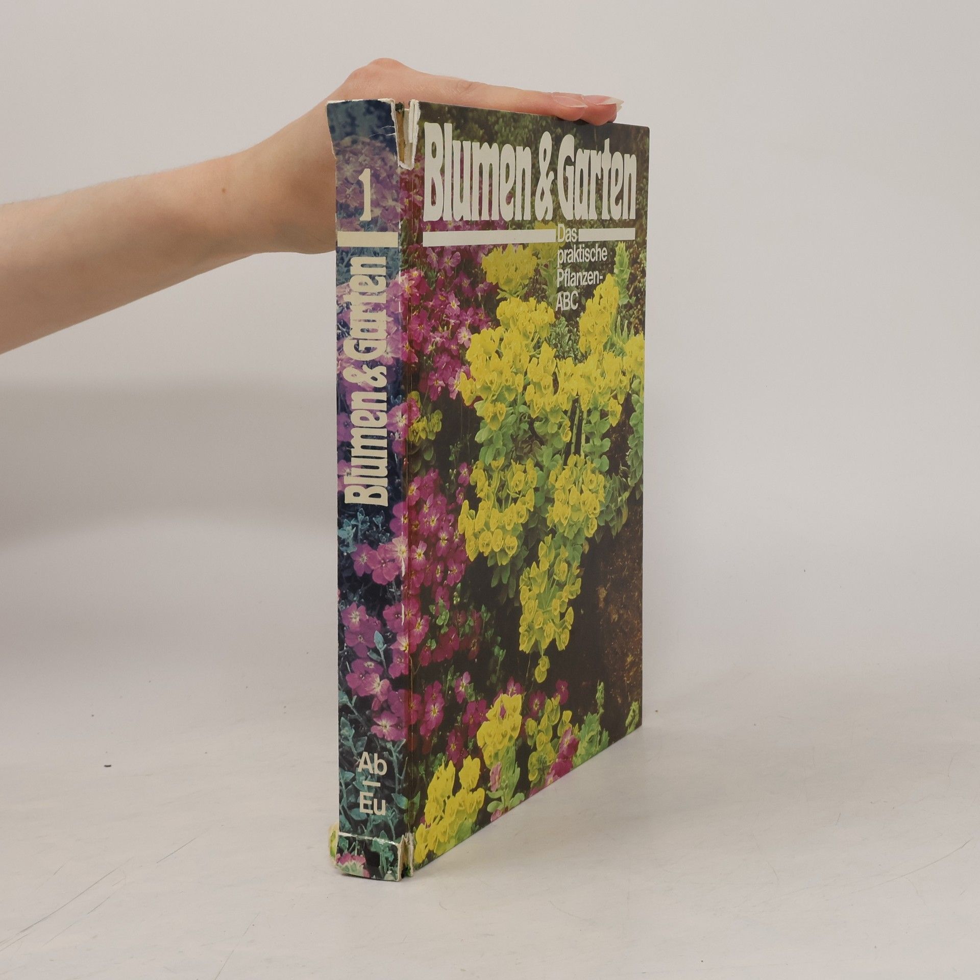 Autorenkollektiv Blumen & Garten 1. Das praktische Pflanzen-ABC