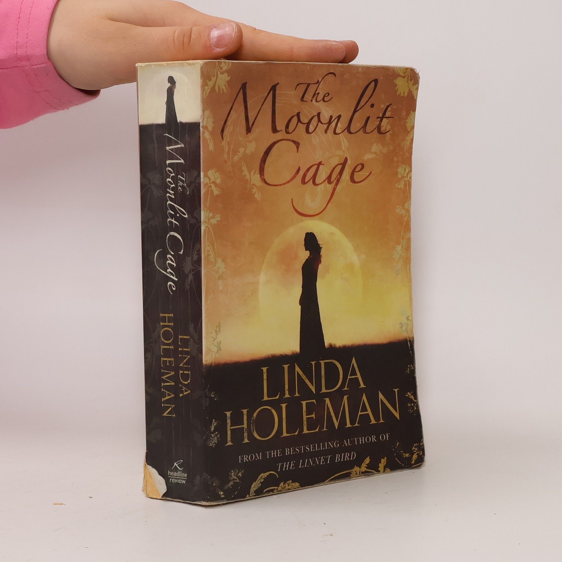 Linda Holeman The Moonlit Cage