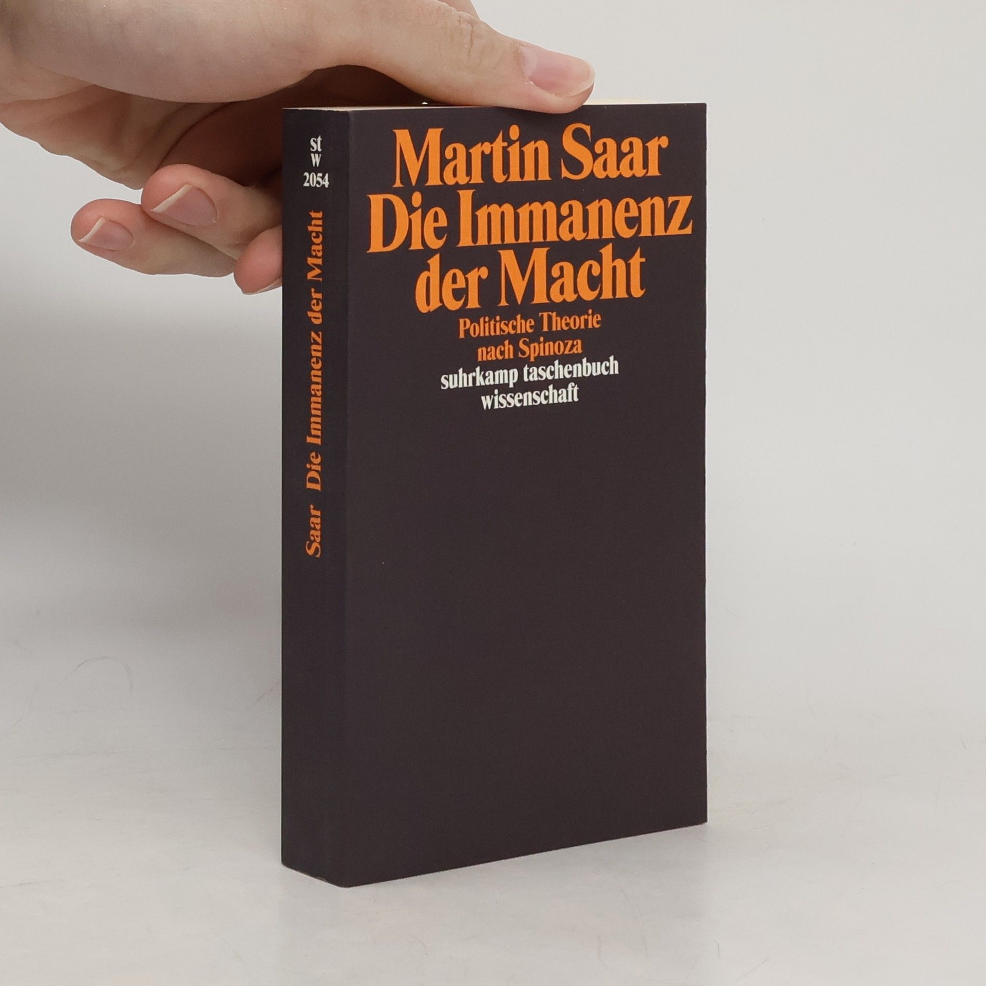 Die Immanenz der Macht