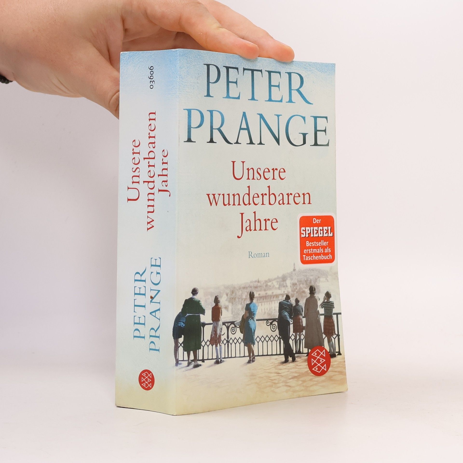 Peter Prange Unsere wunderbaren Jahre