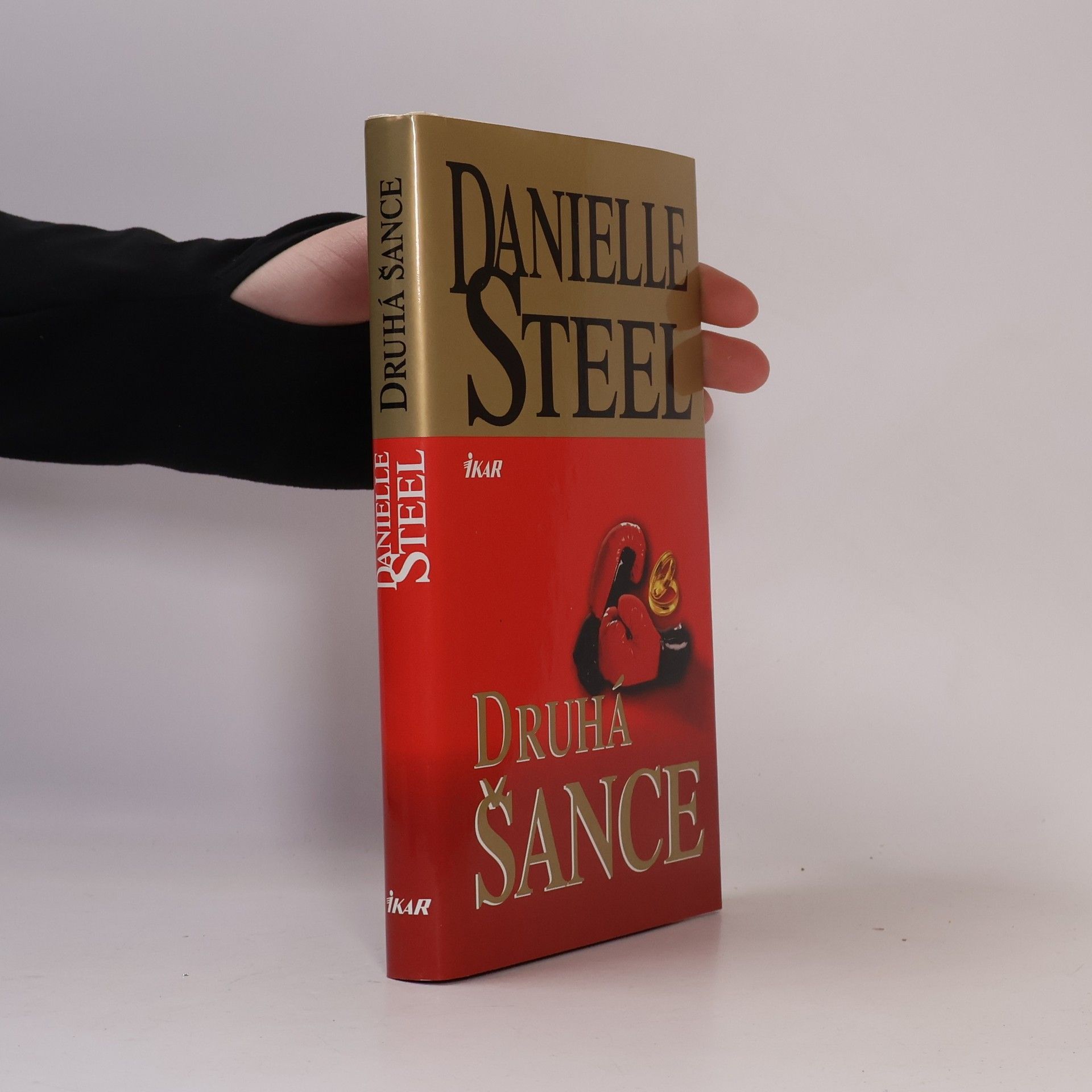 Danielle Steel Druhá šance