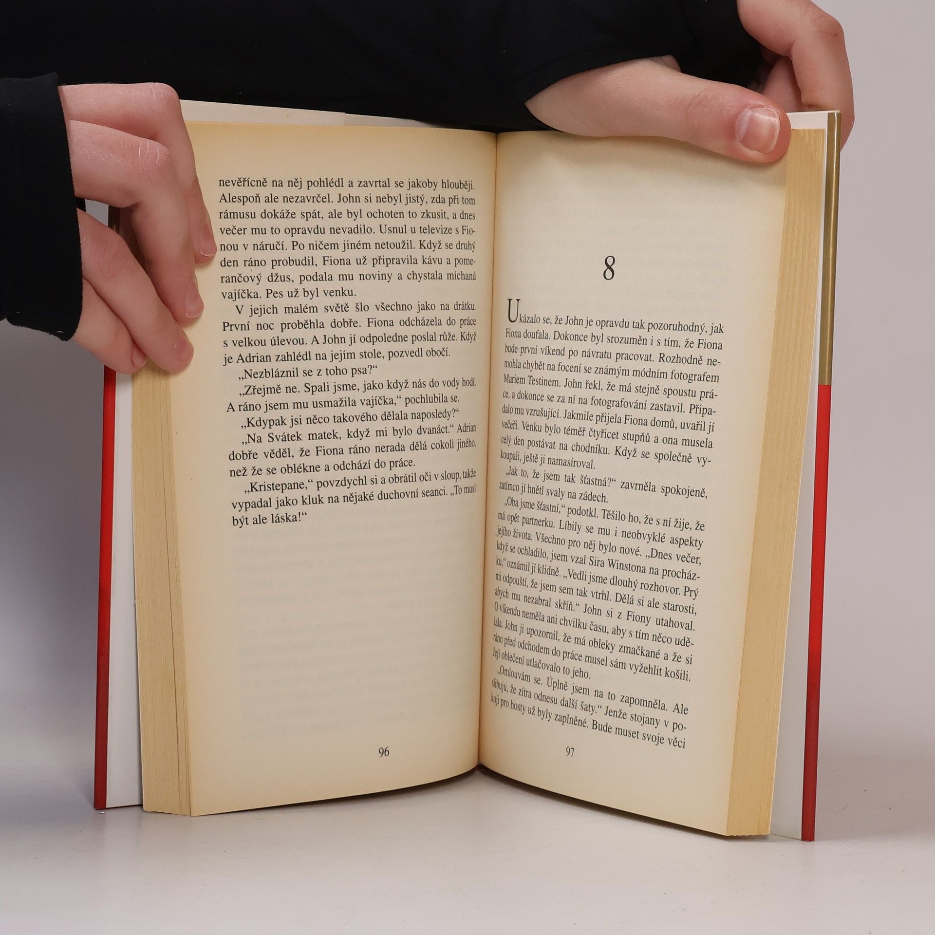 Danielle Steel Druhá šance