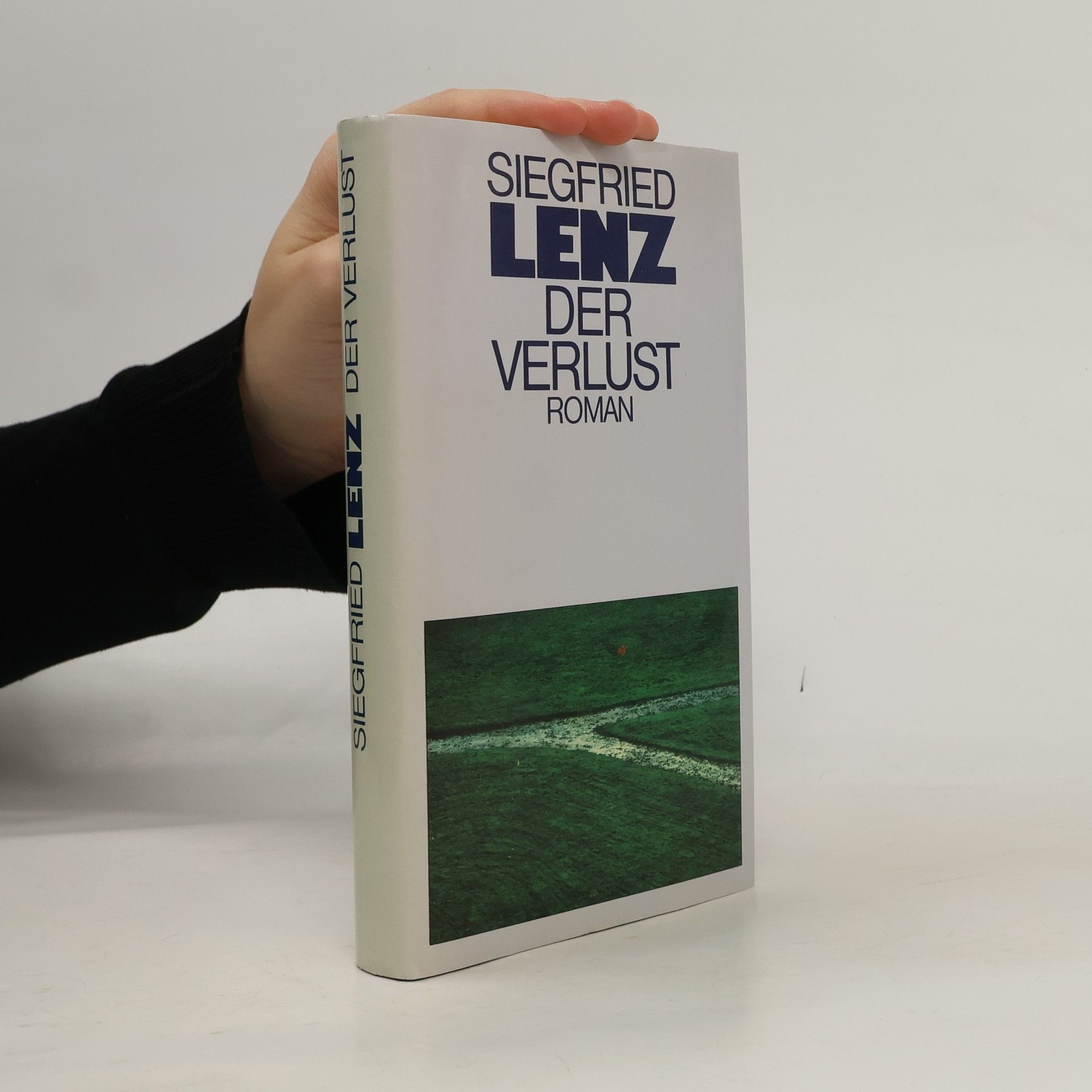 Siegfried Lenz Der Verlust