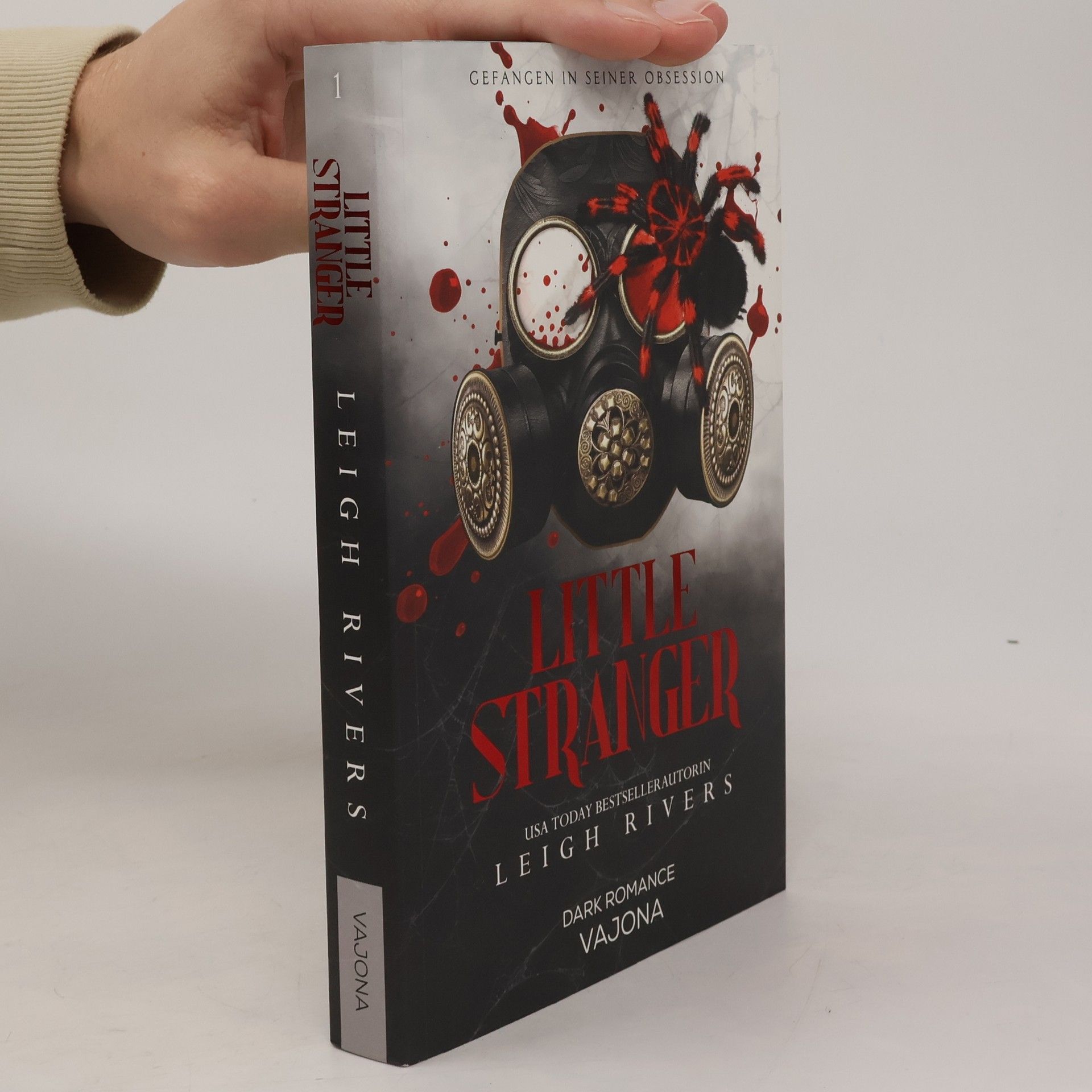 Leigh Rivers Little Stranger
