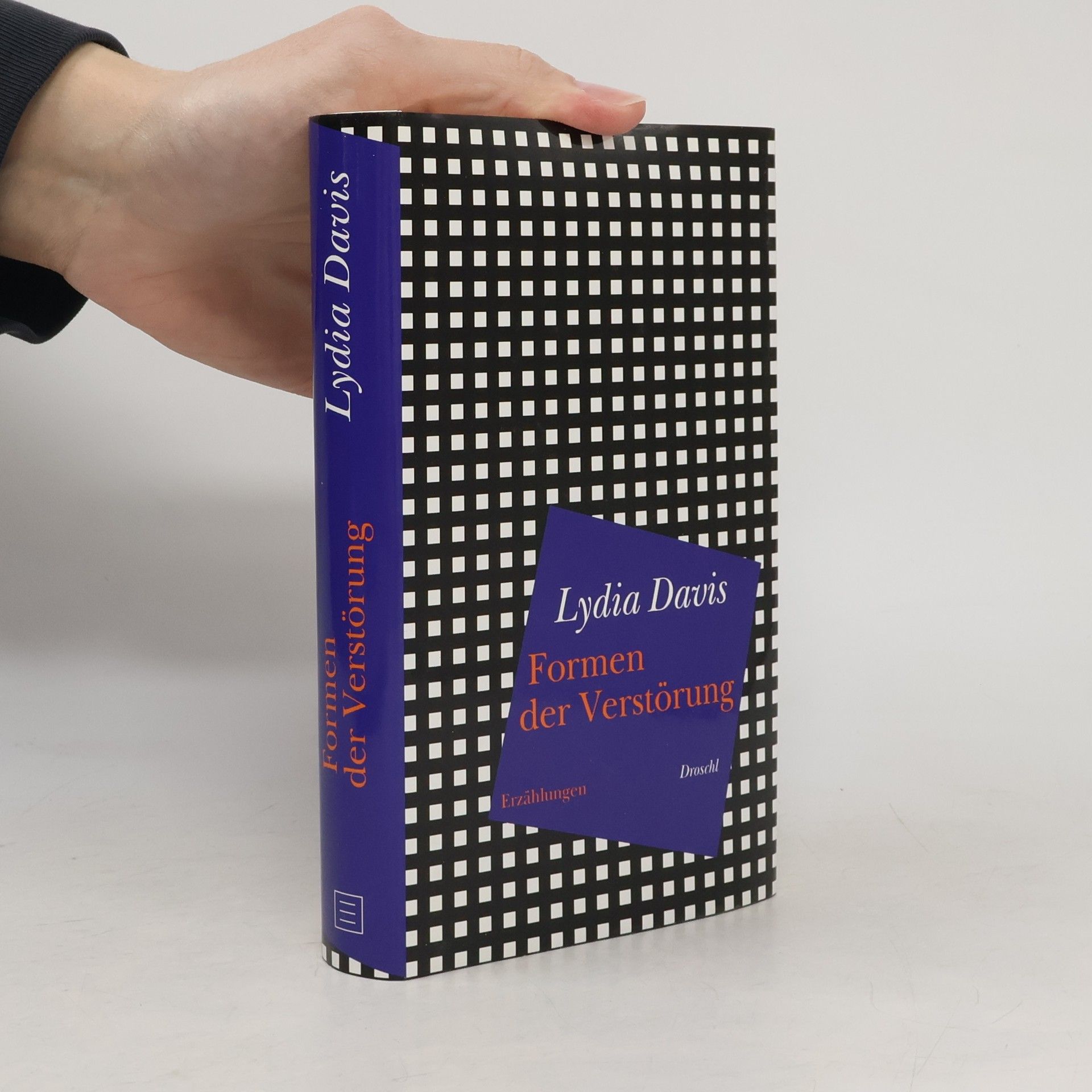 Lydia Davis Formen der Verstörung