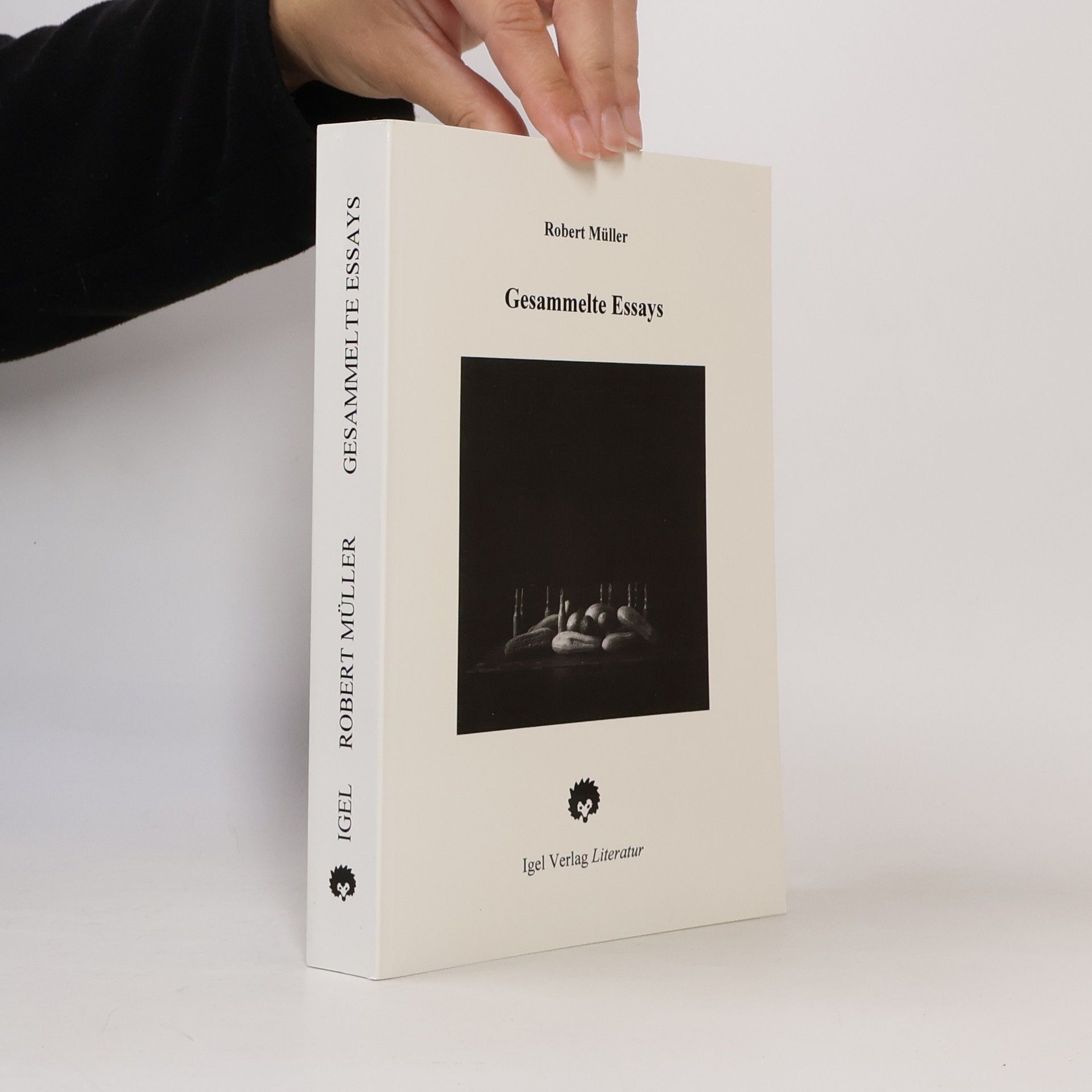 Gesammelte Essays