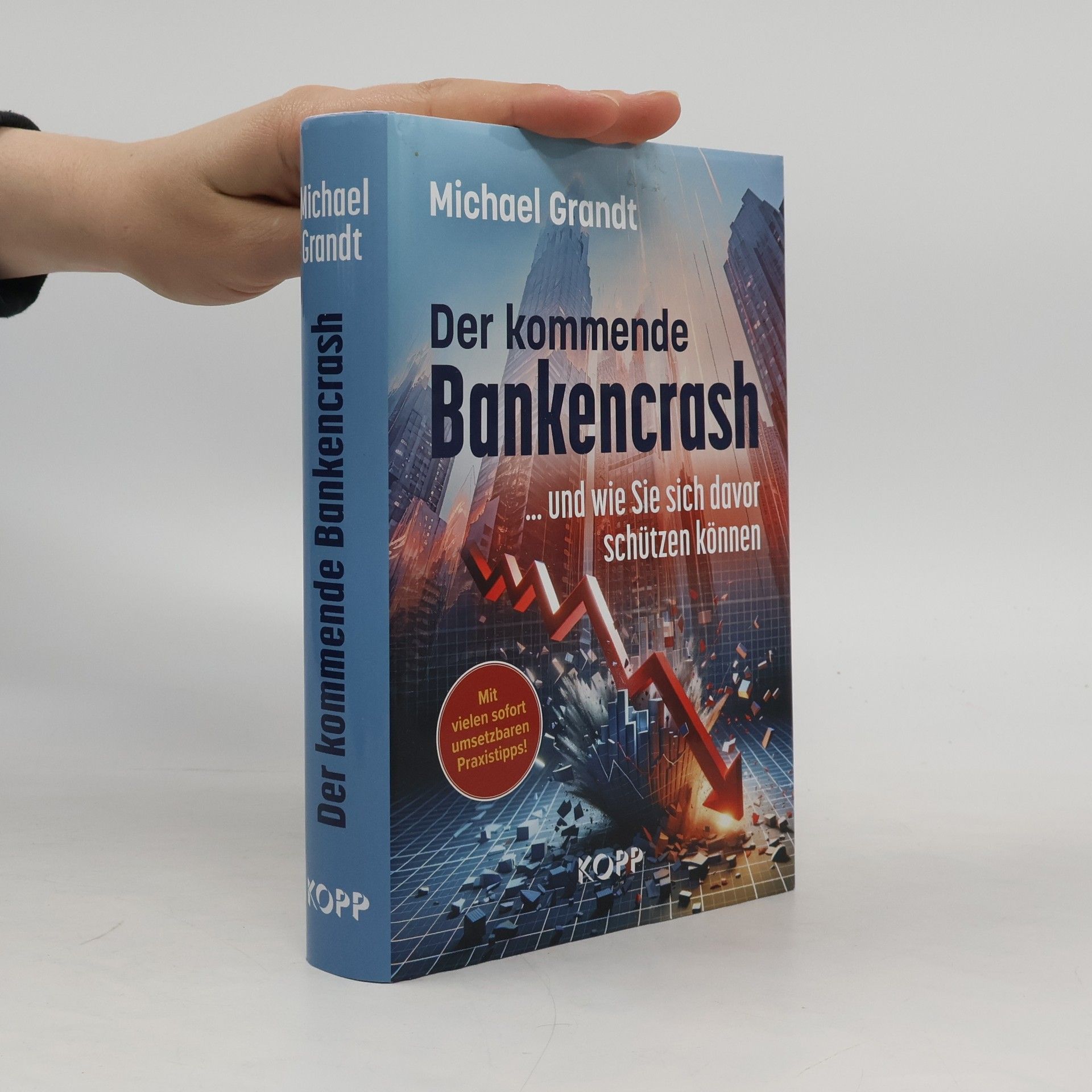 Michael Grandt Der kommende Bankencrash und wie Sie sich davor schützen können