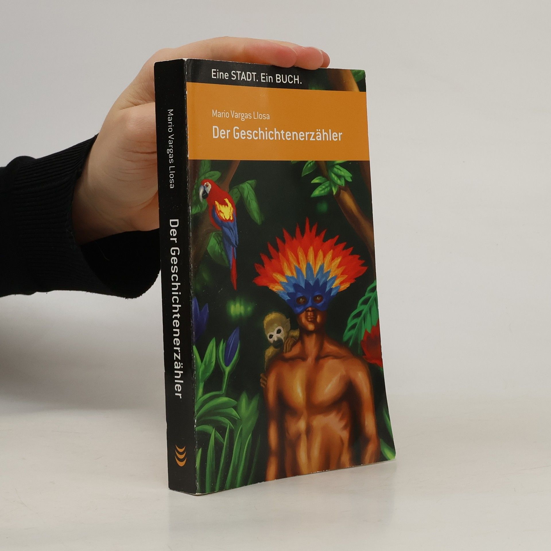 Mario Vargas Llosa Der Geschichtenerzähler
