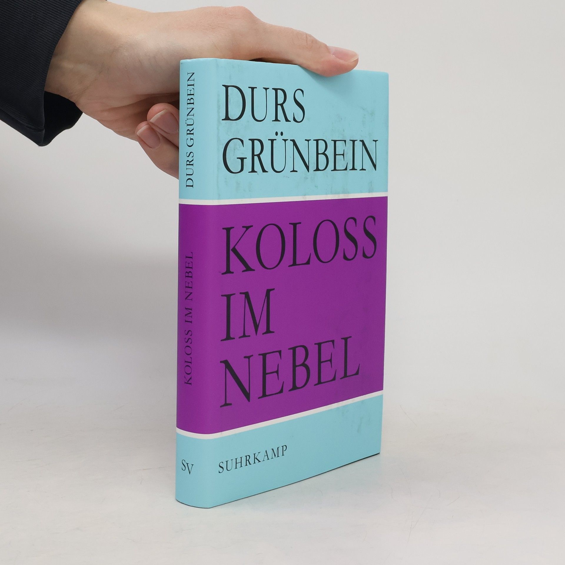 Durs Grünbein Koloß im Nebel