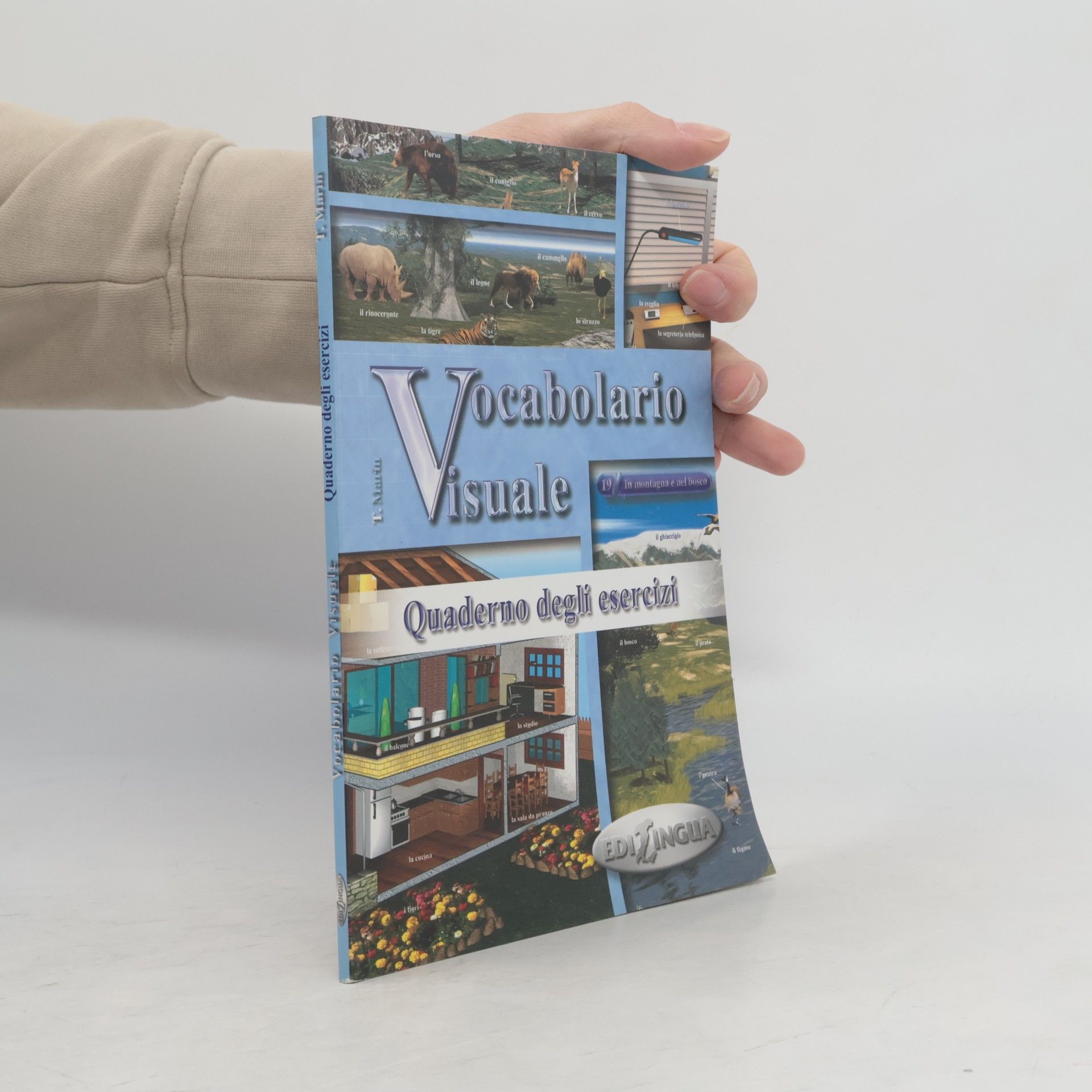 Vocabolario visuale