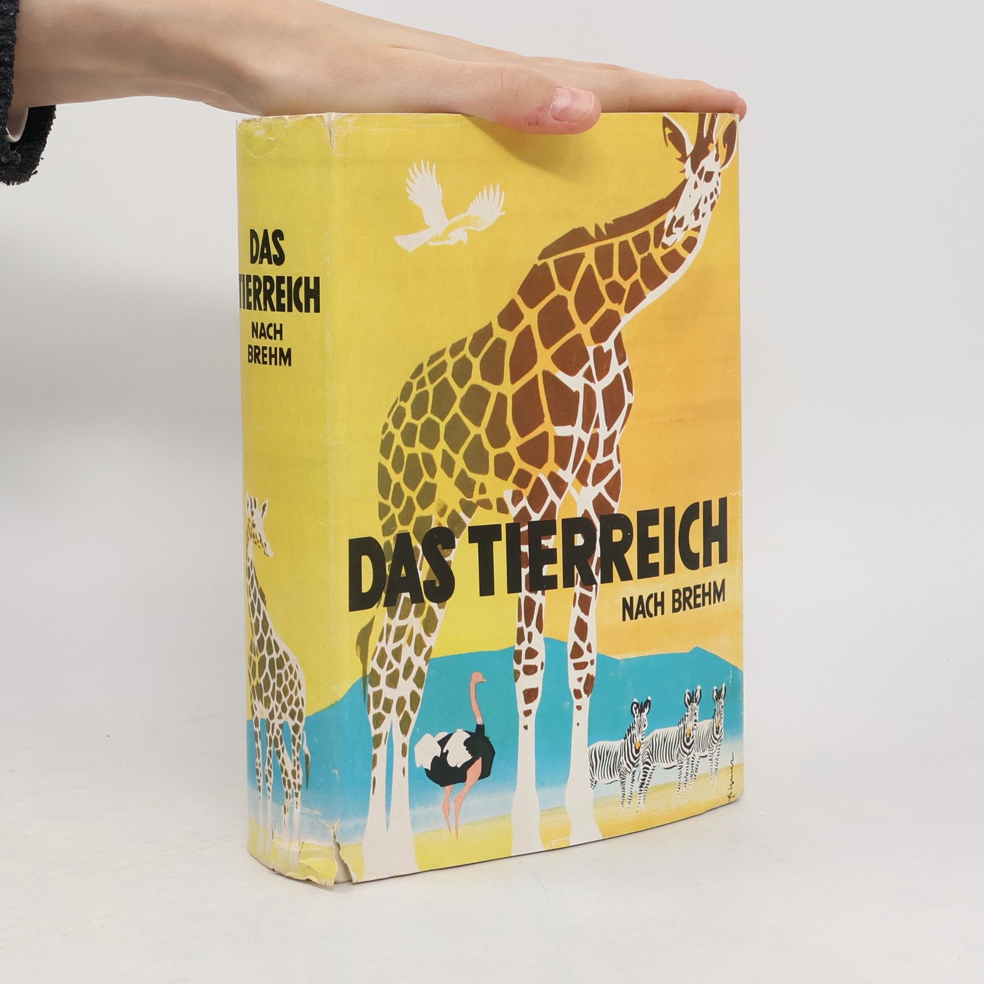 Kolektiv autorů Das Tierreich nach Brehm