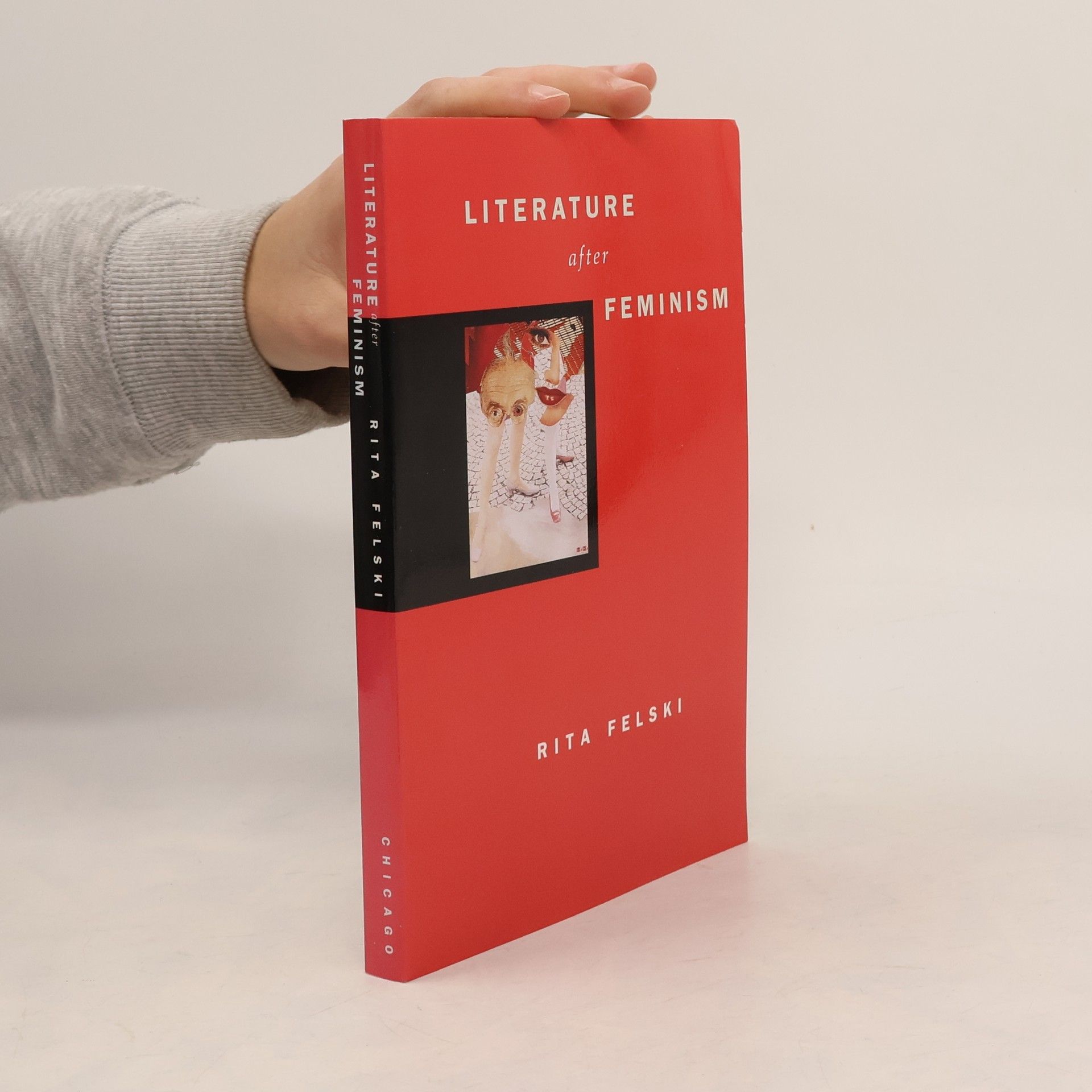 Rita Felski Literature After Feminism