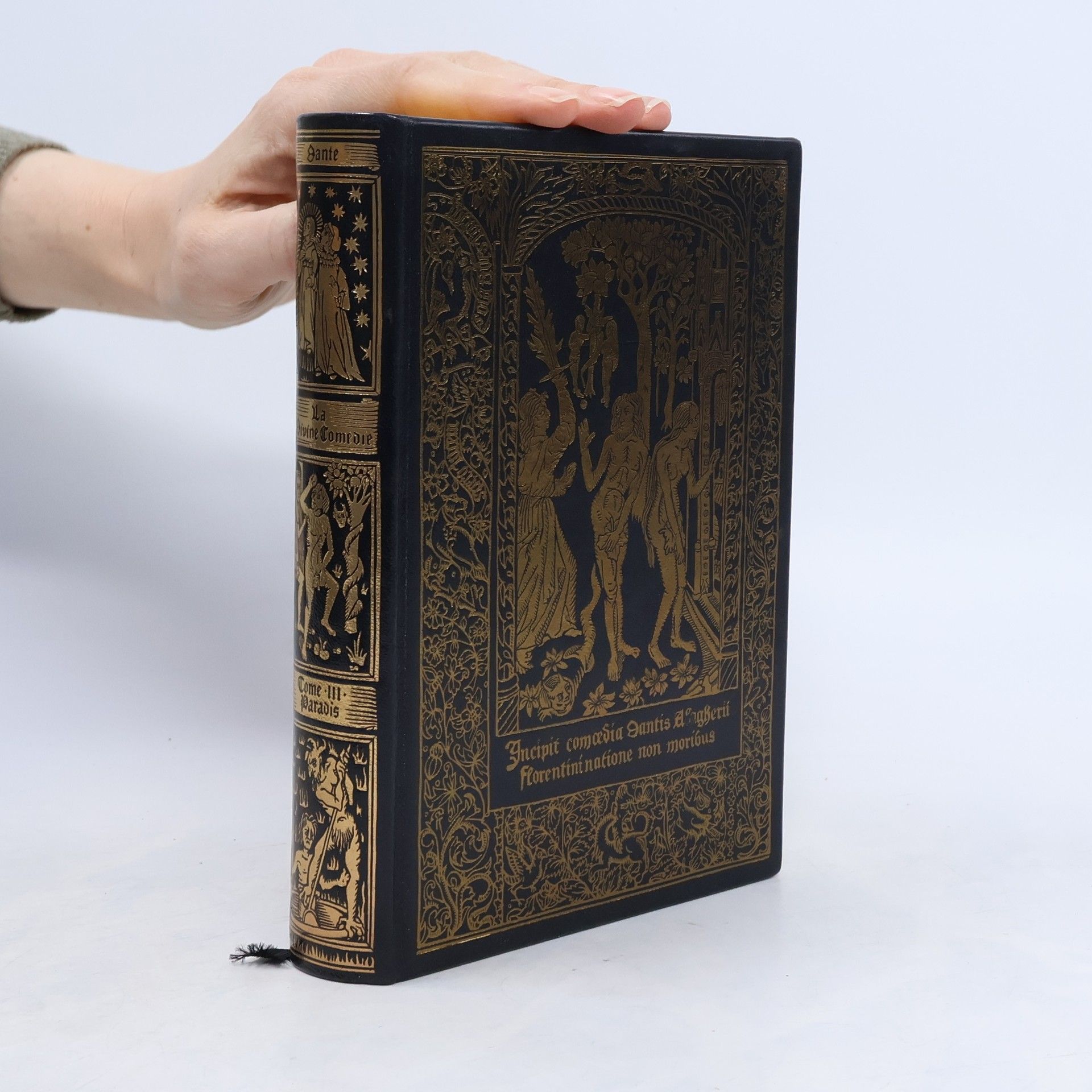 Dante Alighieri La Divine Comédie III