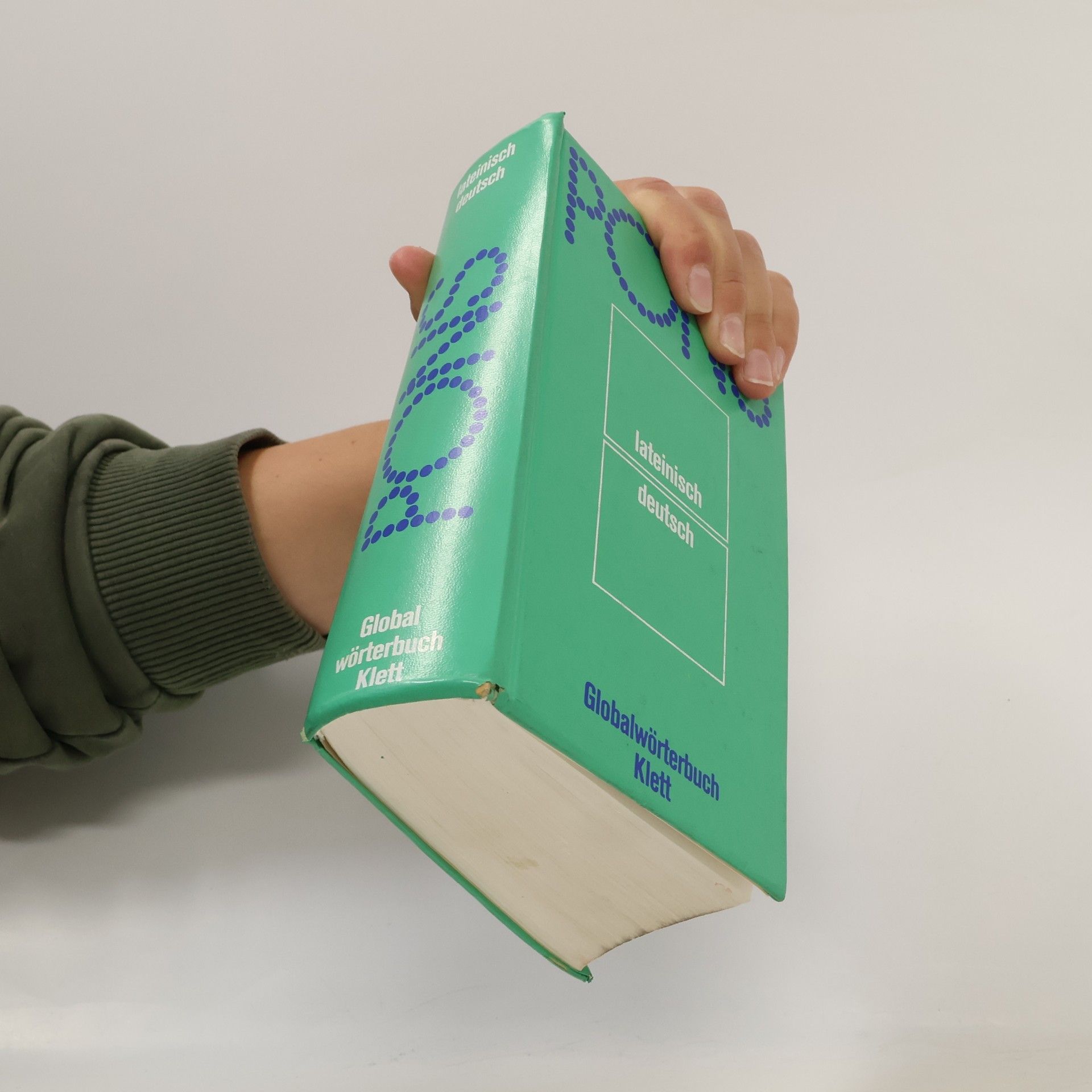 Rita Hau PONS Globalwörterbuch