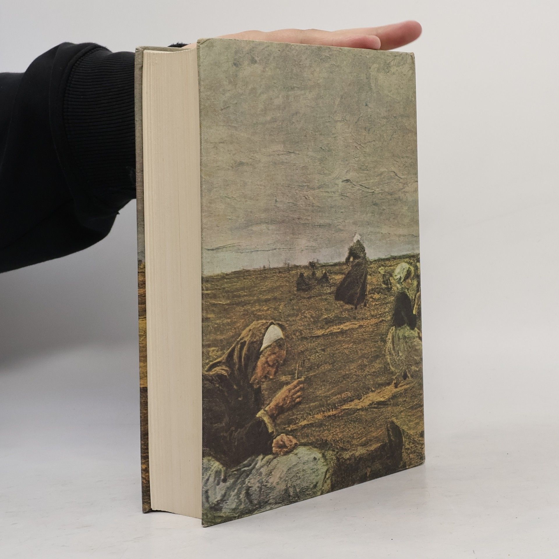 Hans Theodor Woldsen Storm Am Grauen Meer. Storms Gesammelte Werke