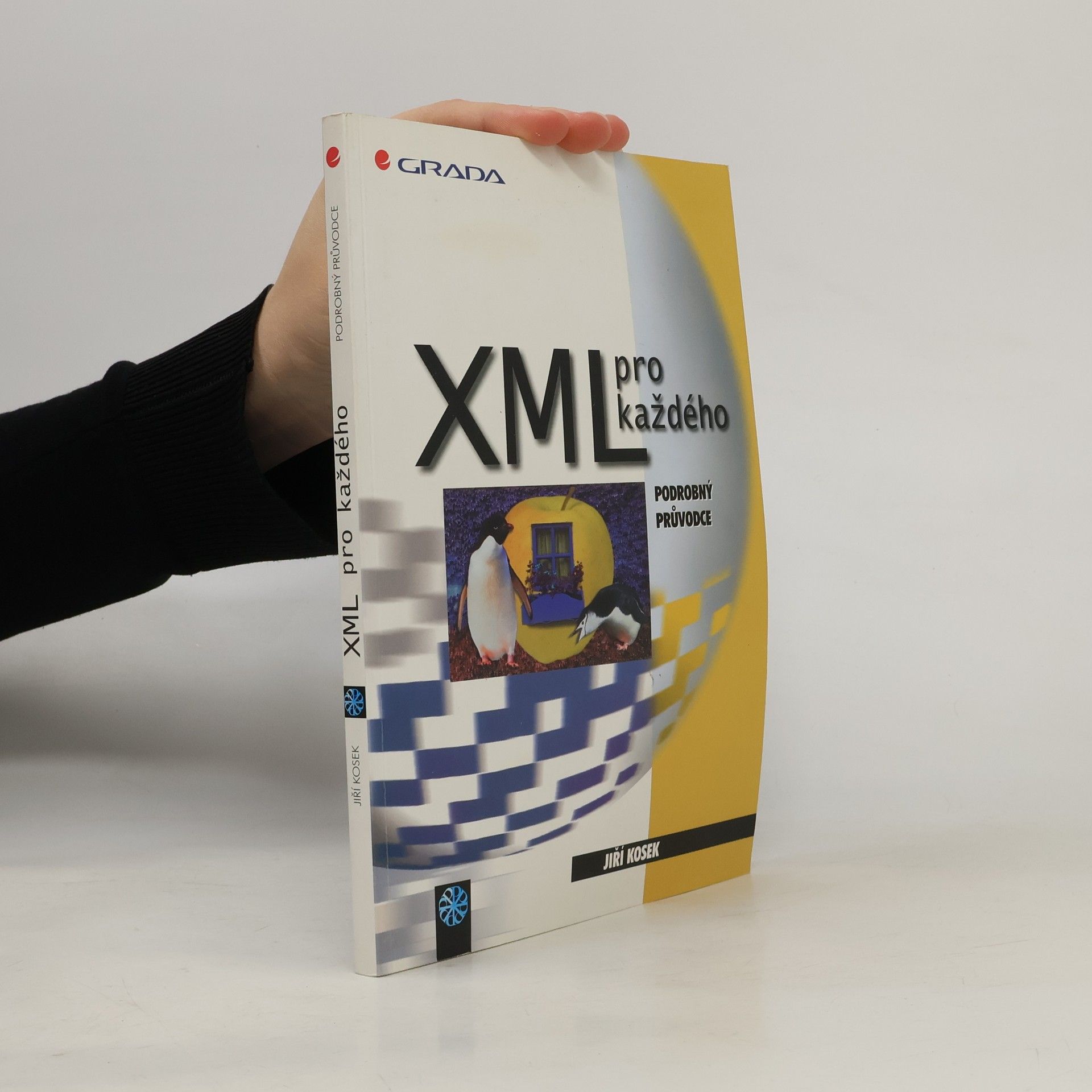 Jiří Kosek XML pro každého: Podrobný průvodce