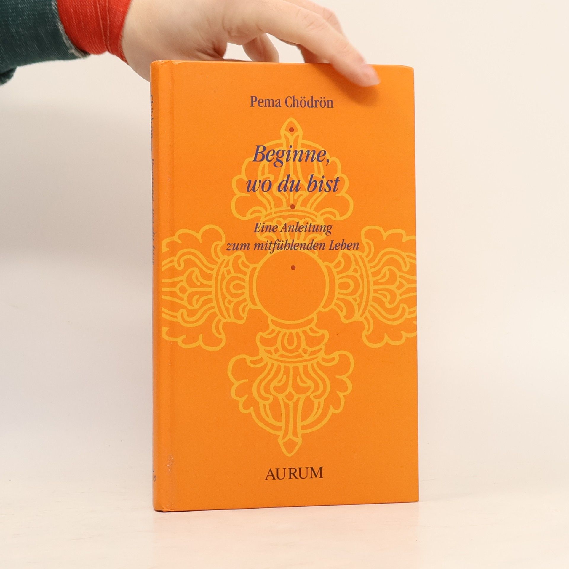 Pema Chödrön Beginne, wo du bist