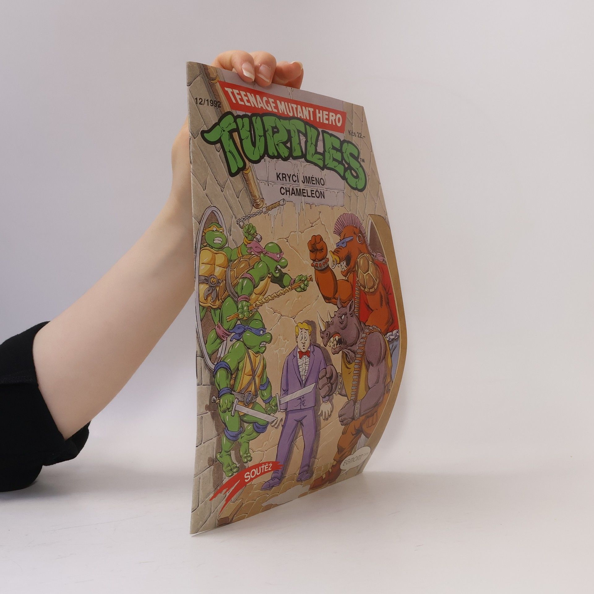 Dean Clarrain Teenage Mutant Hero Turtles #12