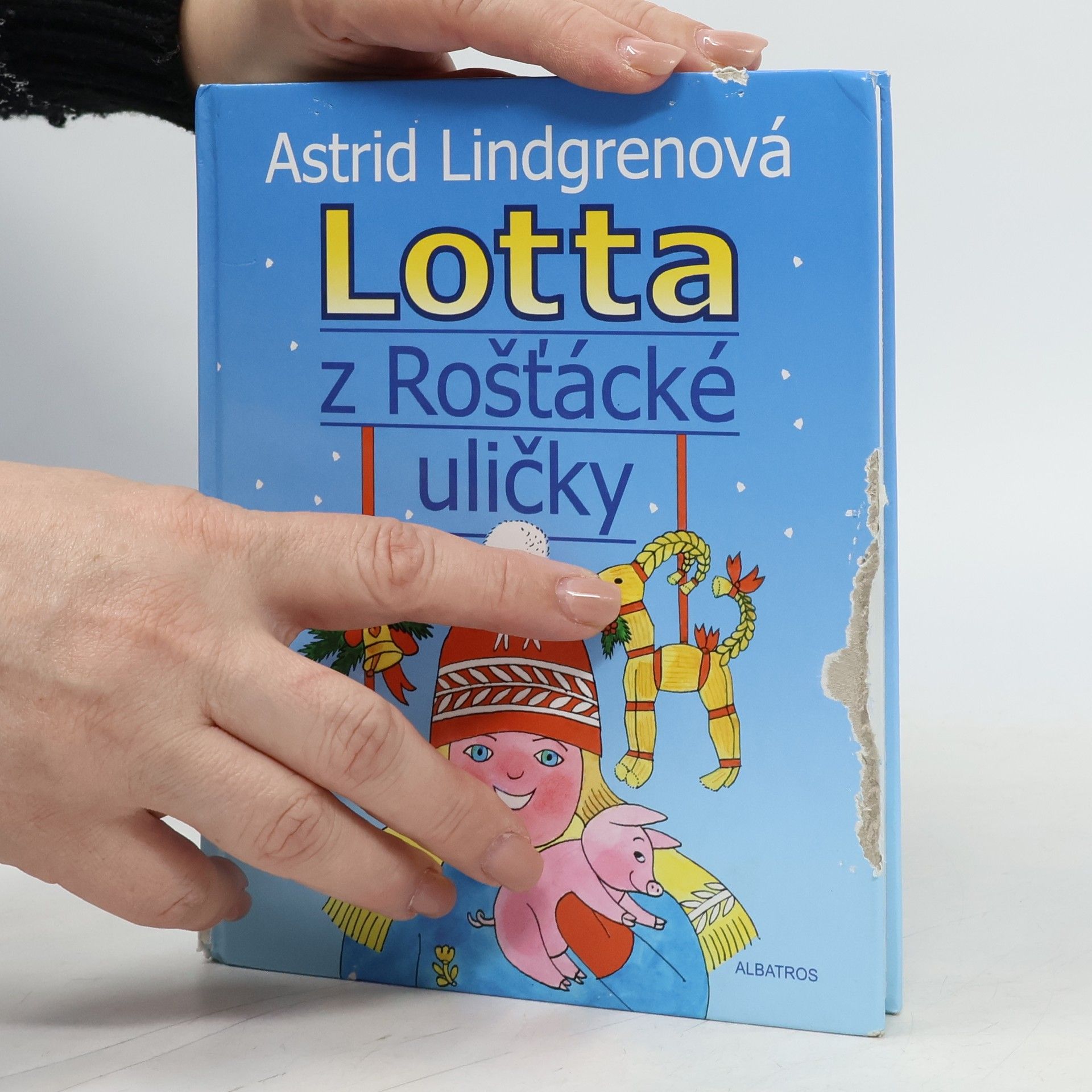 Karel Šebesta Lotta z Rošťácké uličky