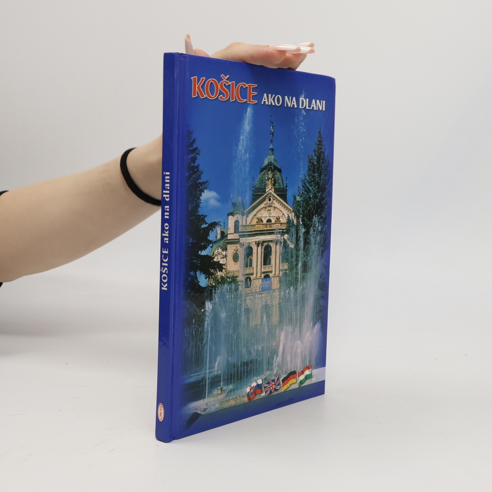 Mária Koránová Košice ako na dlani = A Palm-Top Košice = Košice auf der Hand = Kassa a tenyerünkön