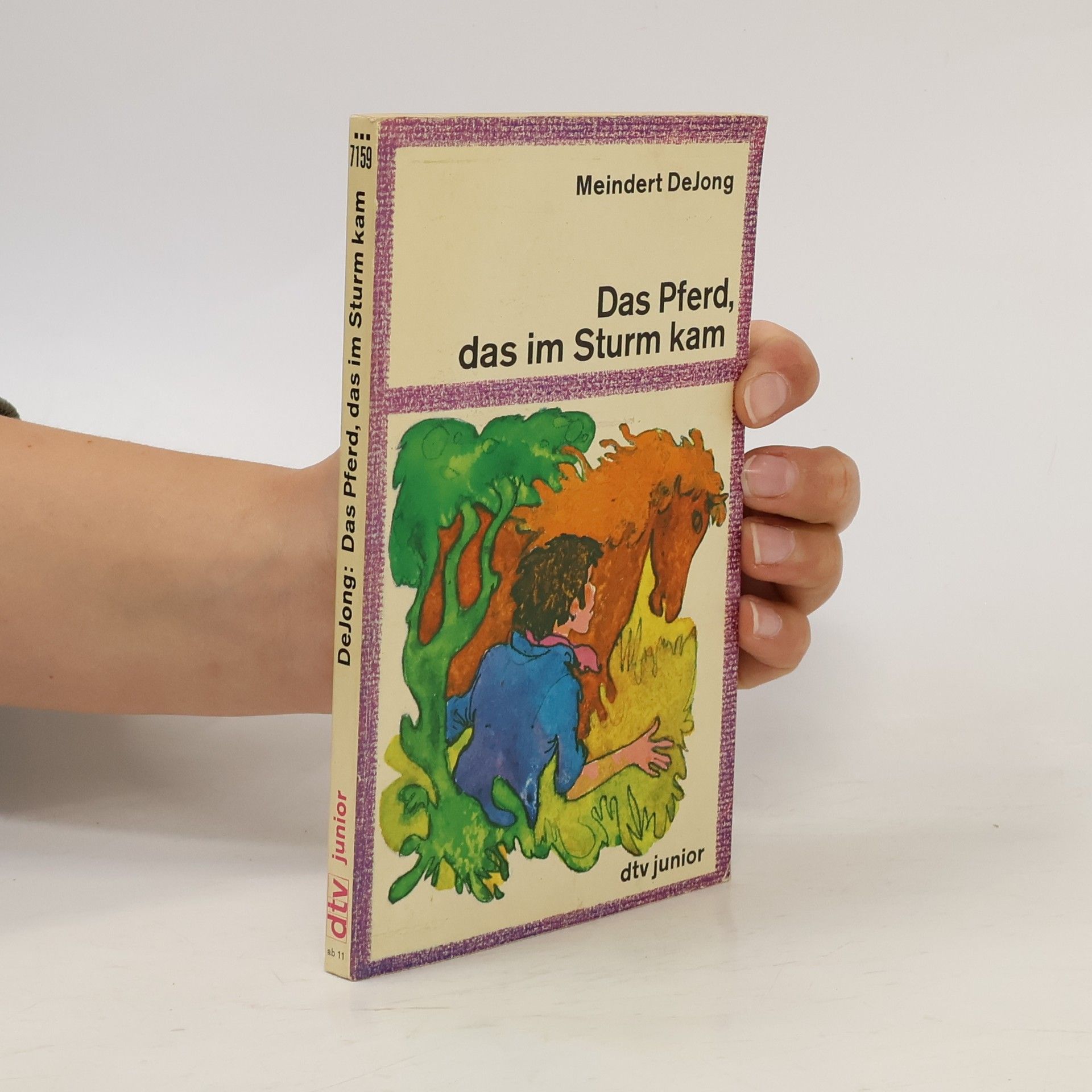 De Jong Meindert Das Pferd, das im Sturm kam