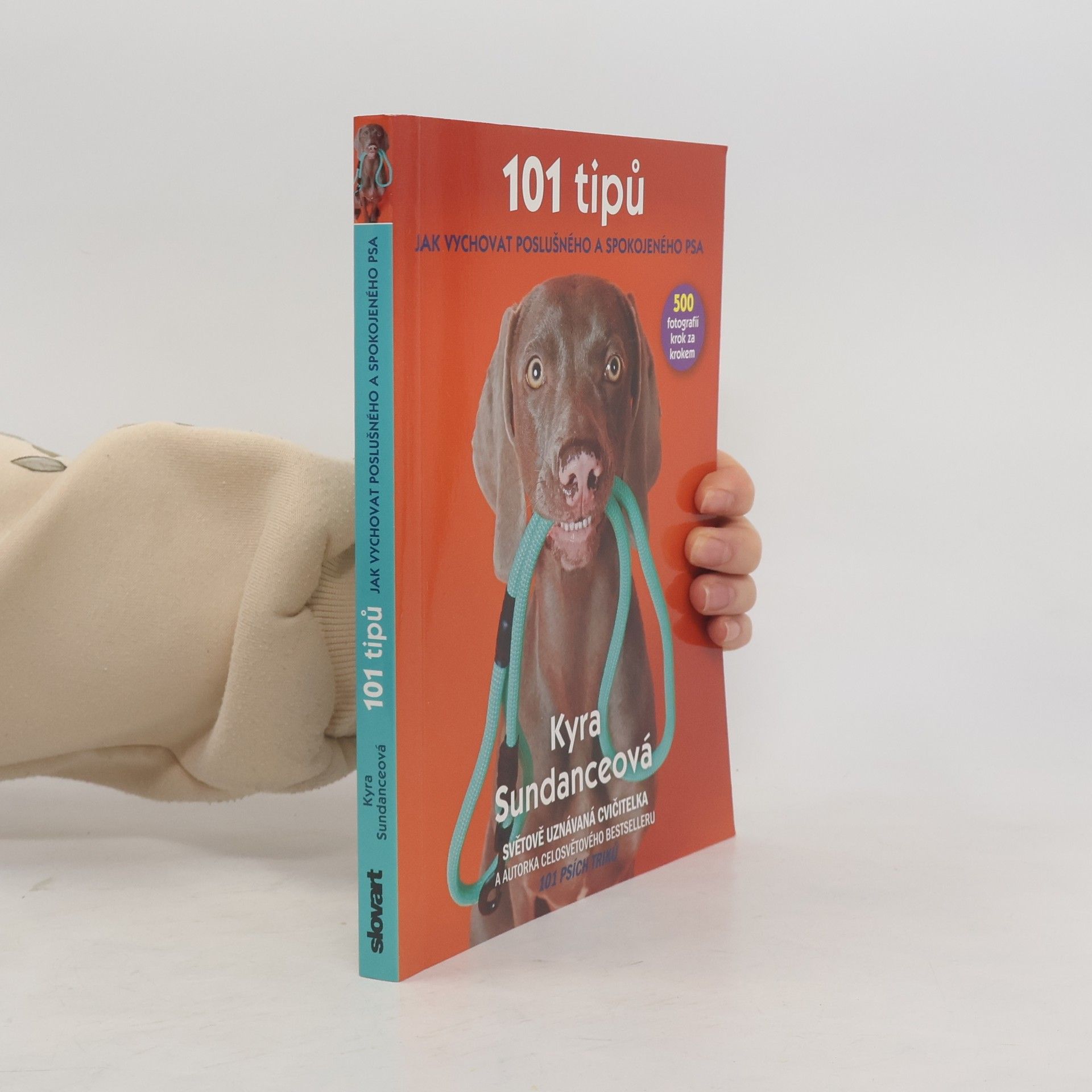 Michael Talián 101 tipů jak vychovat poslušného a spokojeného psa
