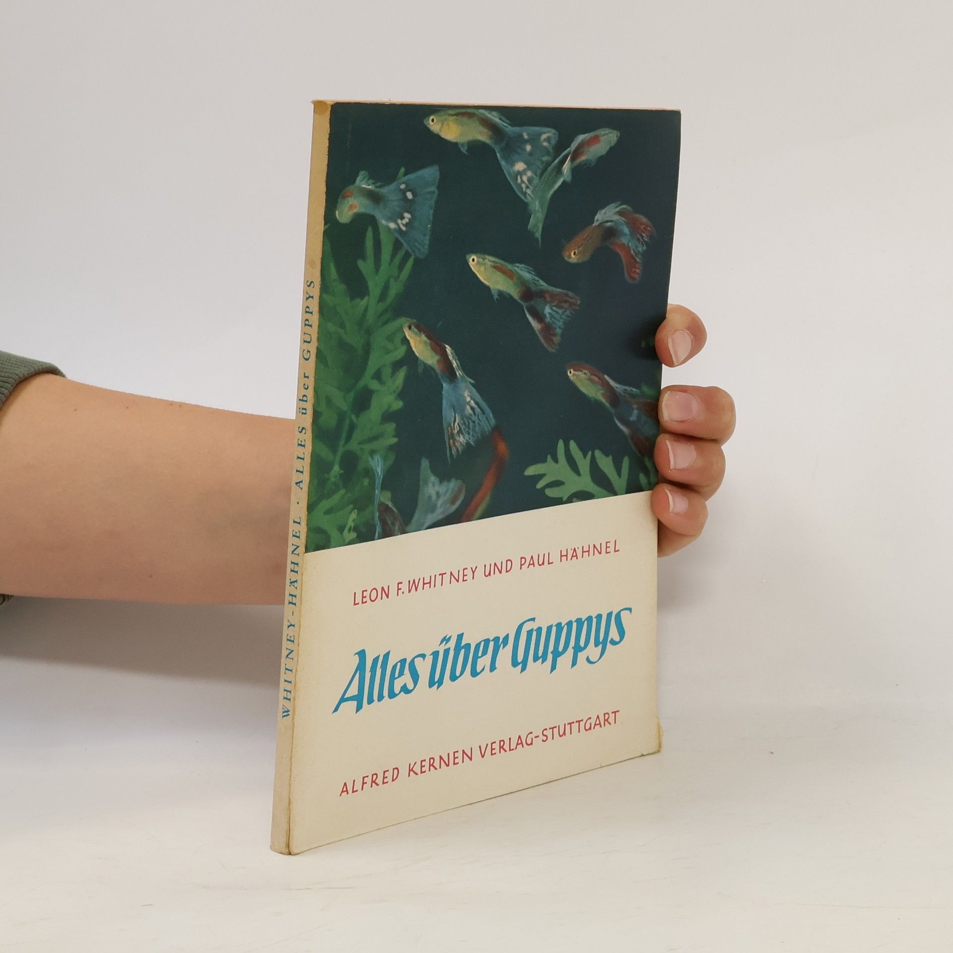Paul Lukas Hähnel Alles über Guppys