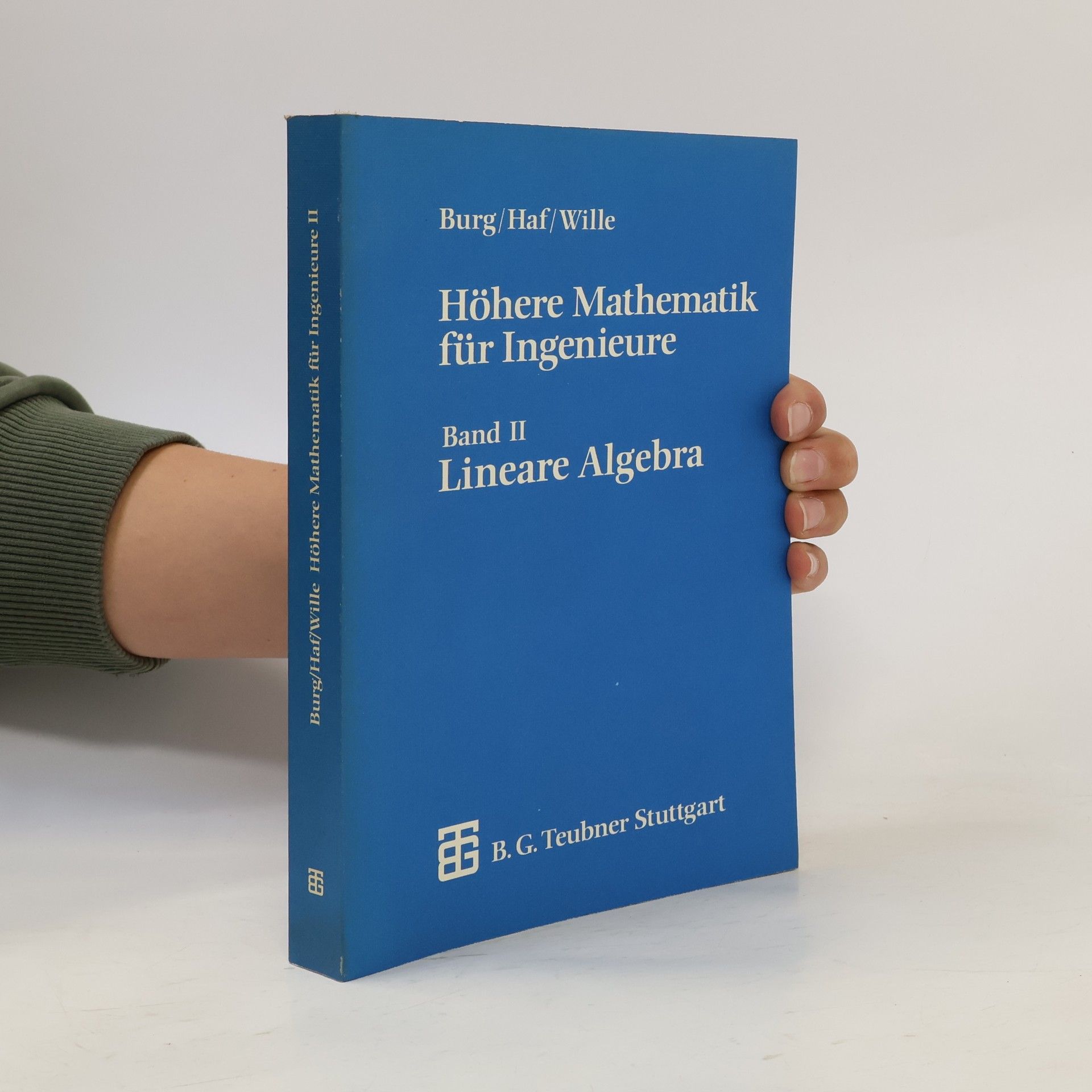 Klemens Burg Höhere Mathematik für Ingenieure