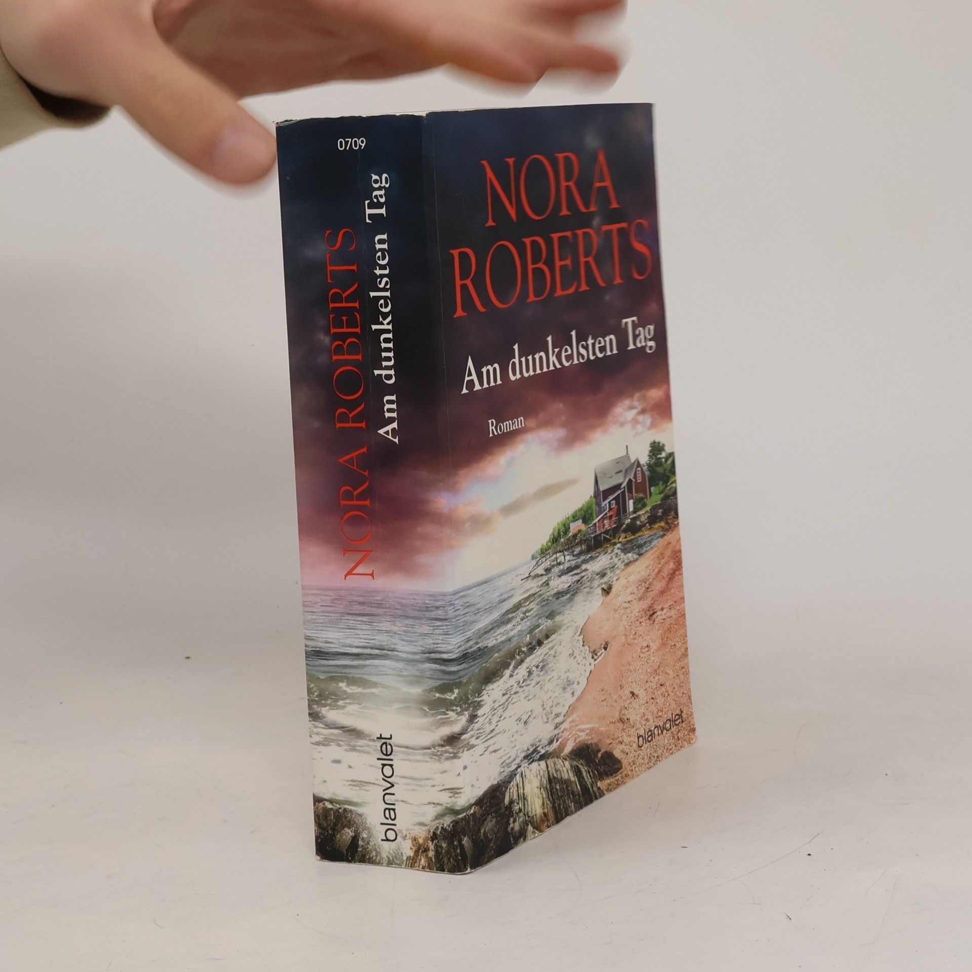 Nora Roberts Am dunkelsten Tag