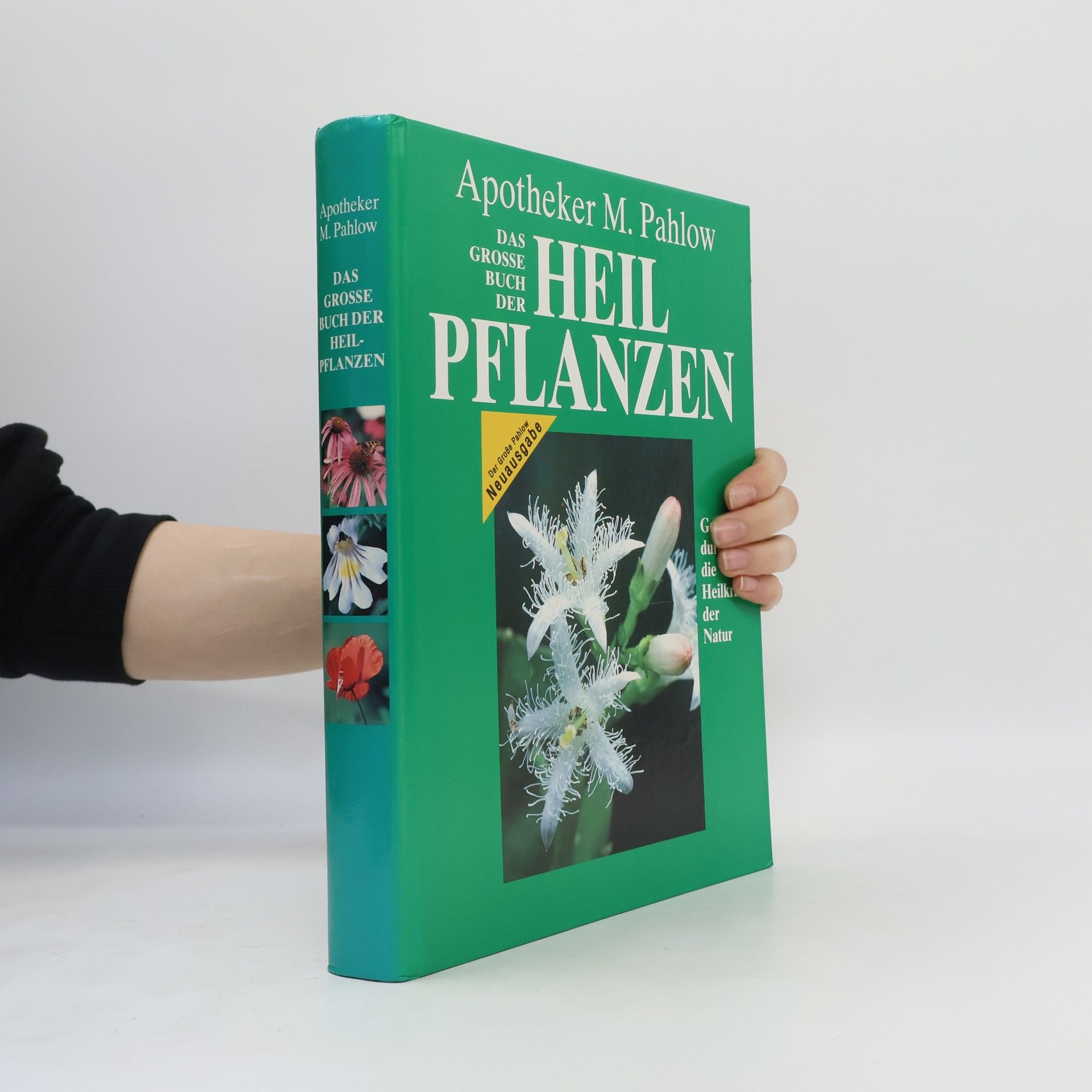 Mannfried Pahlow Das Große Buch der Heilpflanzen. Gesund durch die Heilkräfte der Natur