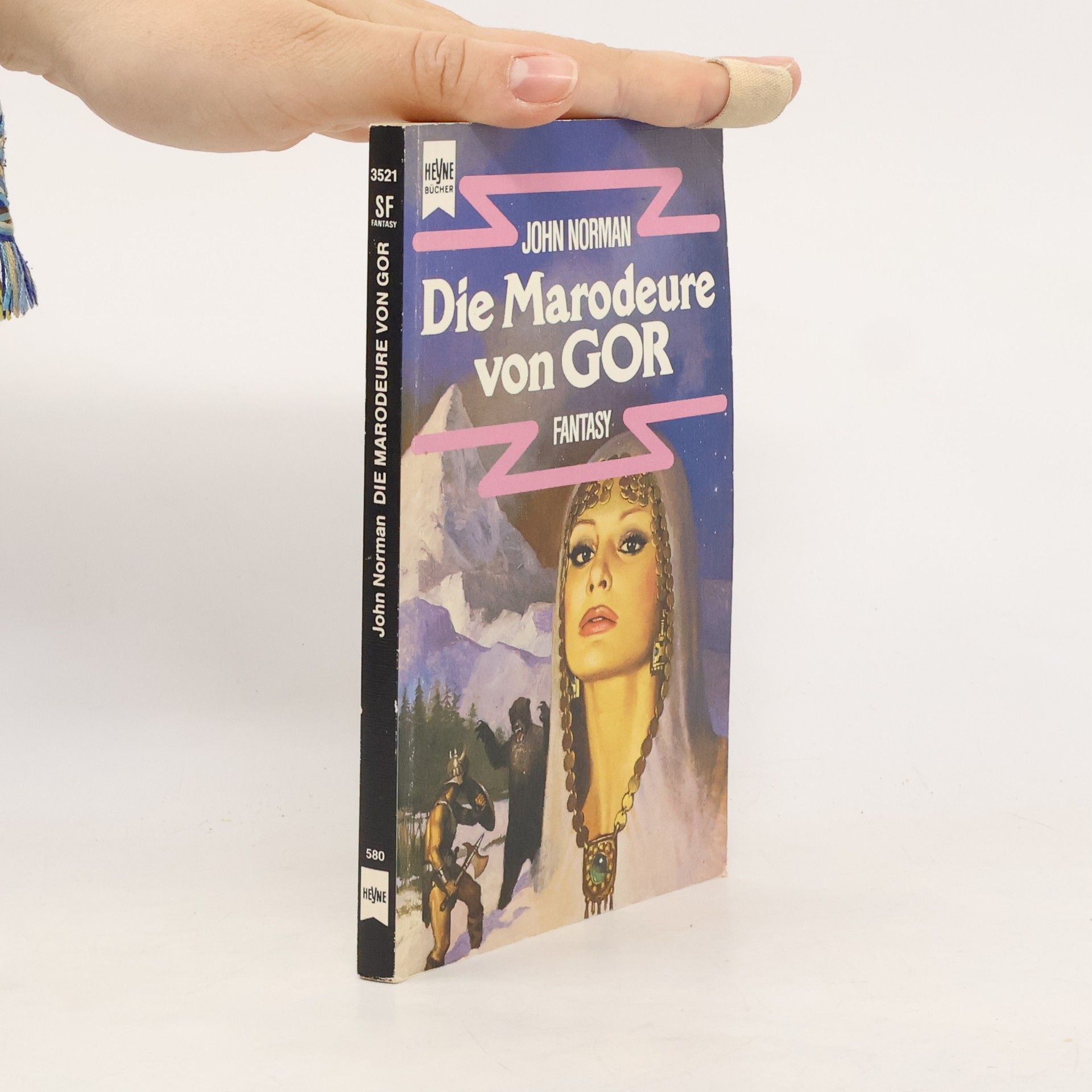 John Norman Die Marodeure von Gor