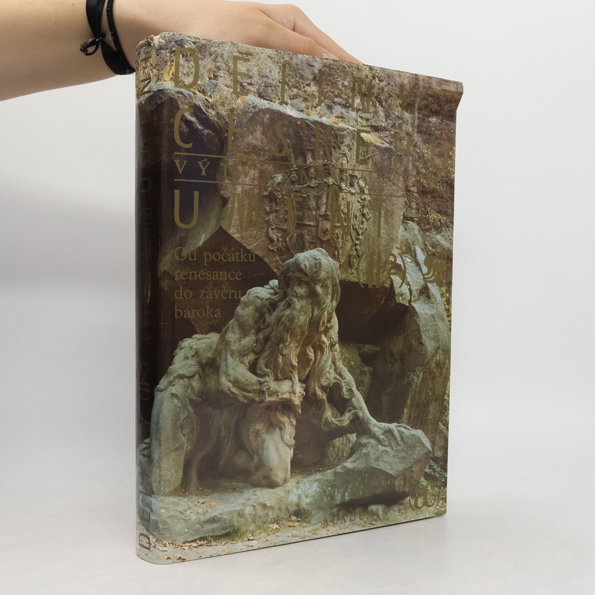 Autores varios Dějiny českého výtvarného umění II/2