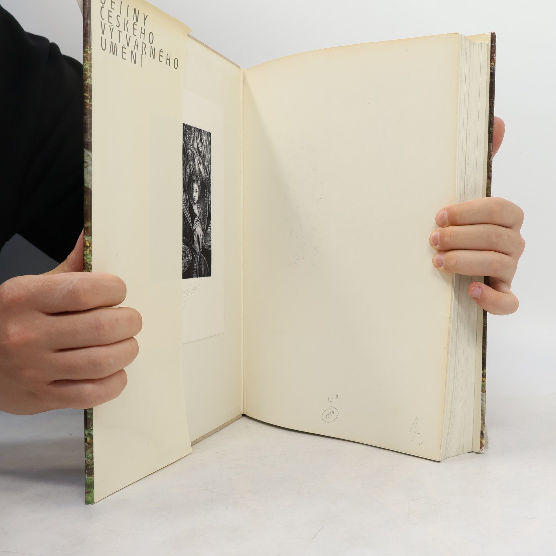 Autores varios Dějiny českého výtvarného umění II/2