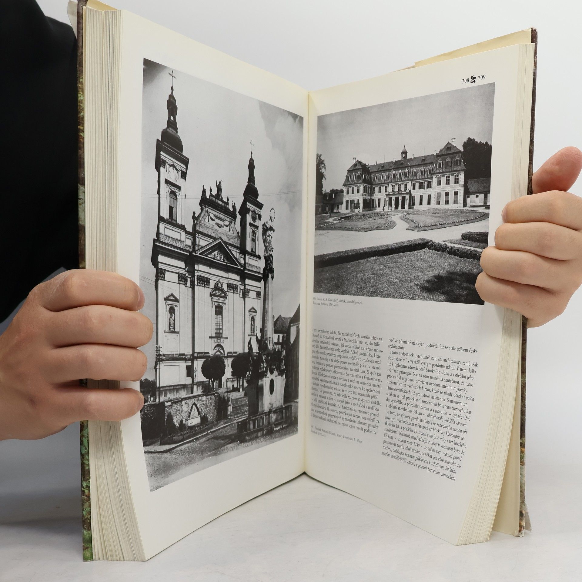 Autores varios Dějiny českého výtvarného umění II/2
