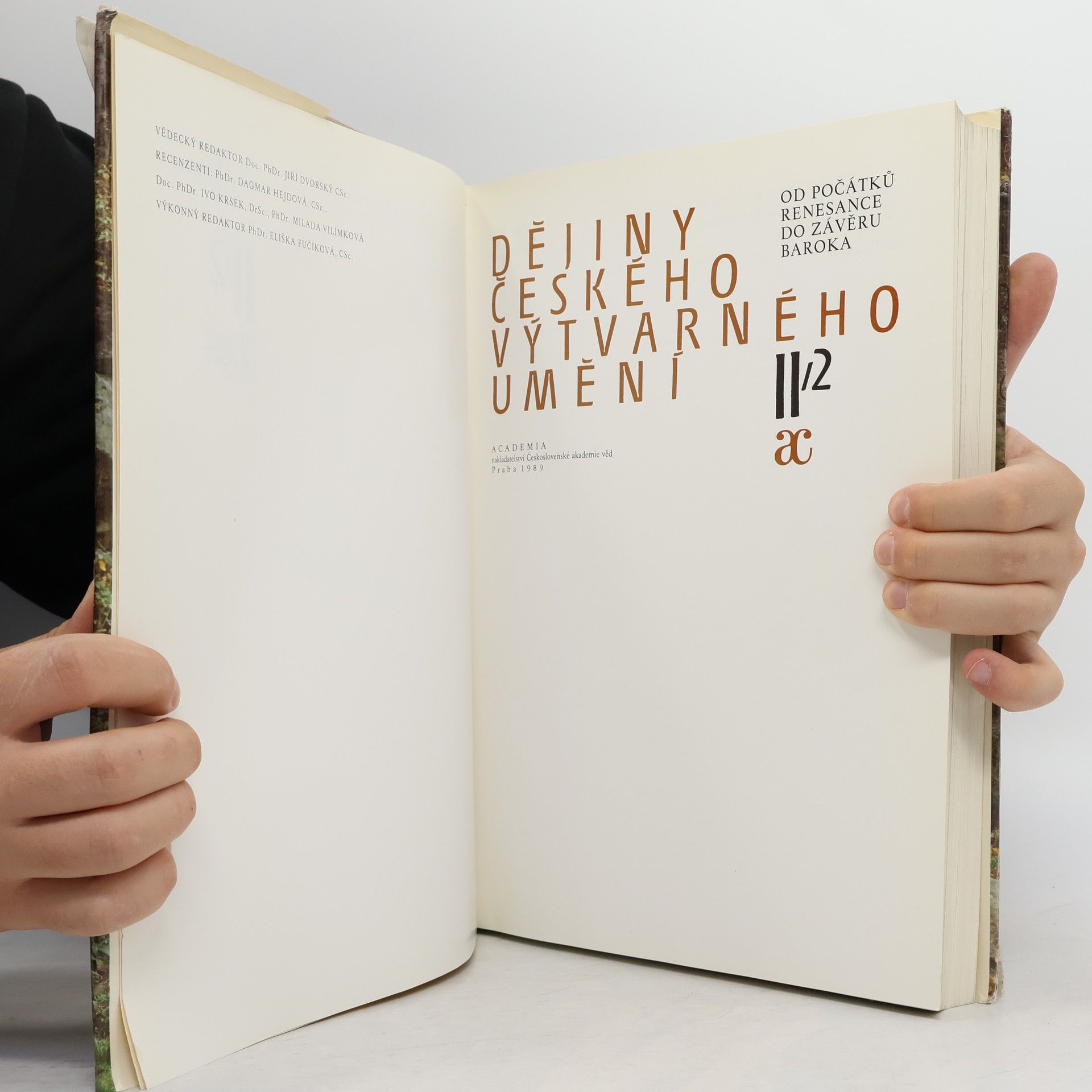 Autores varios Dějiny českého výtvarného umění II/2