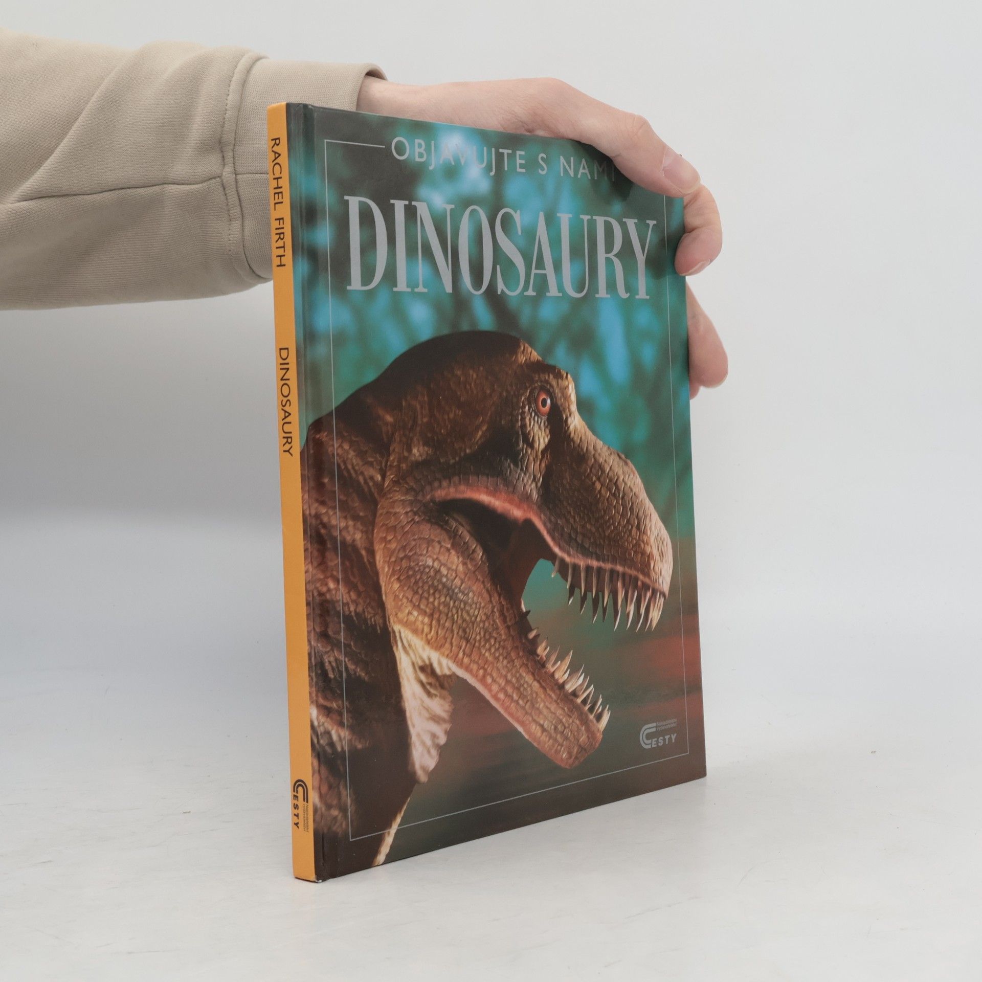 Rachel Firth Dinosaury